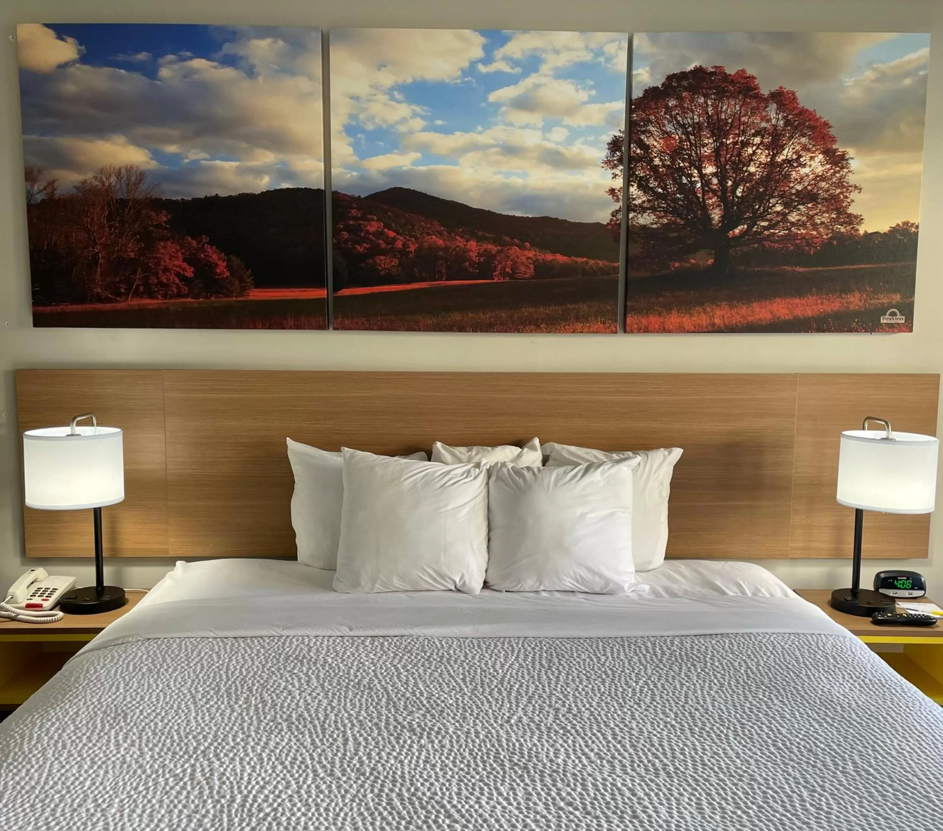 Bed in Days Inn by Wyndham Valdosta/Near Valdosta Mall