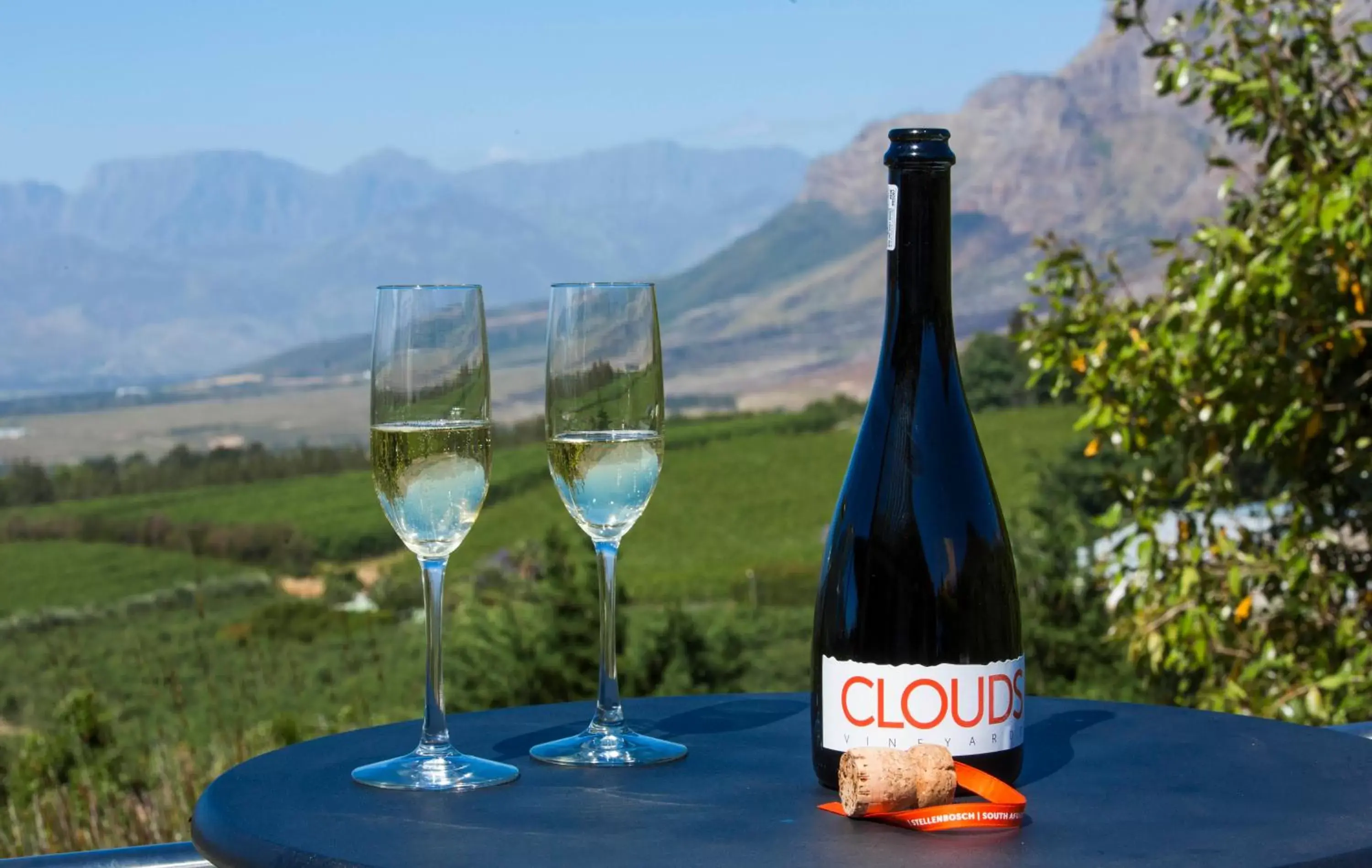 Two-Bedroom Villa in Clouds Estate Two-Bedroom Villa in Clouds Estate