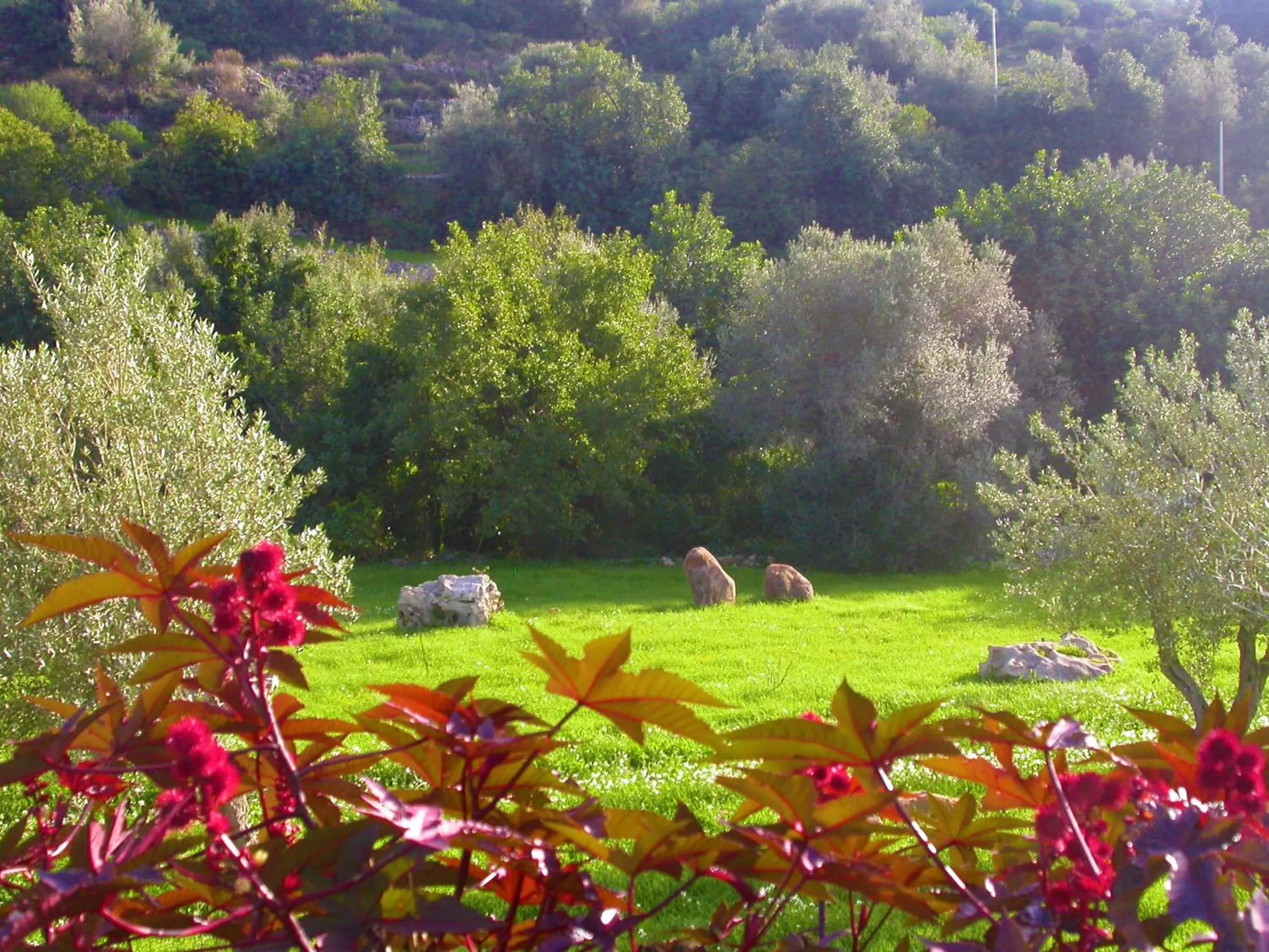 Natural landscape in Relais Parco Cavalonga