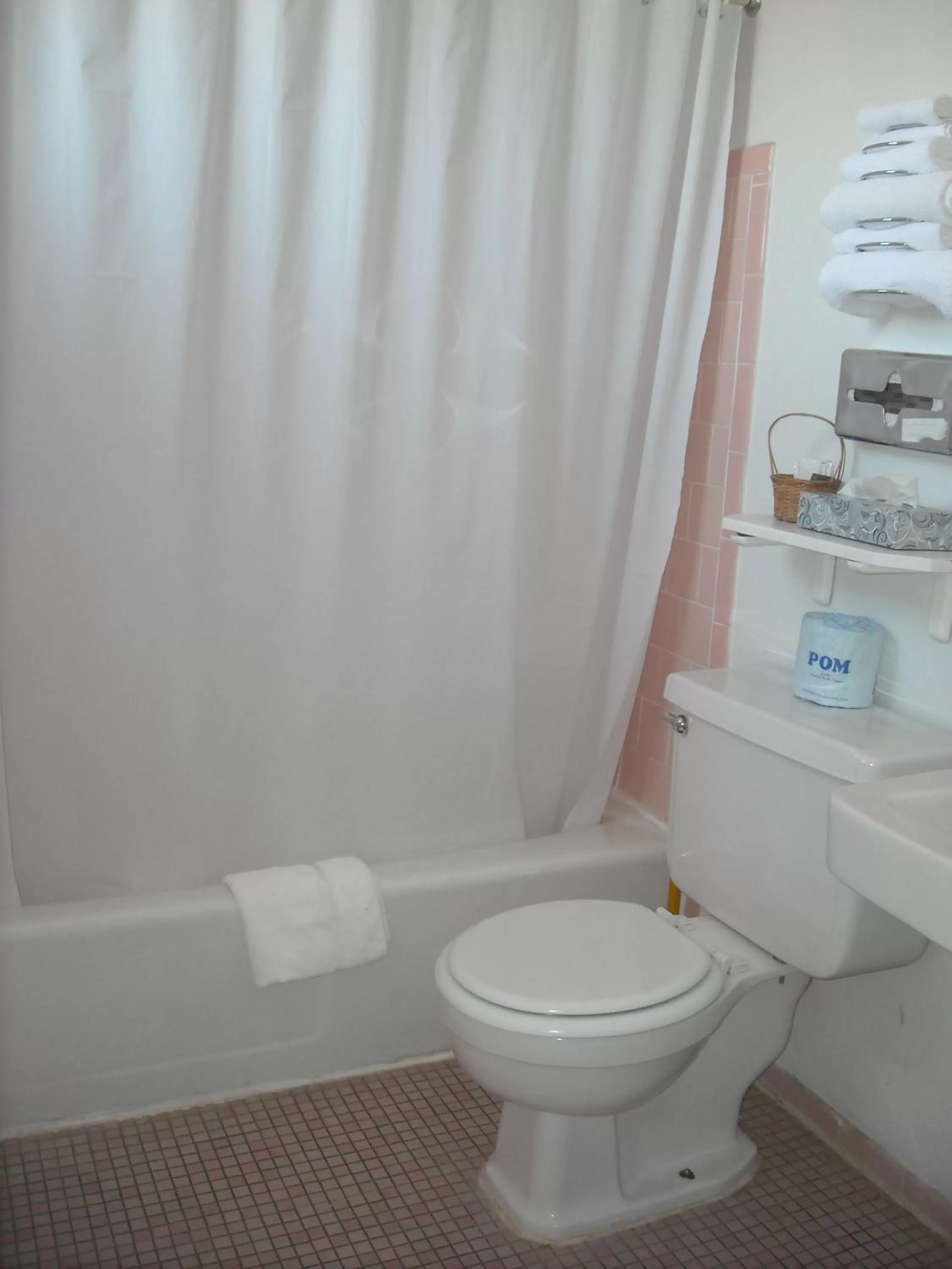 Bathroom in Stagecoach 66 Motel