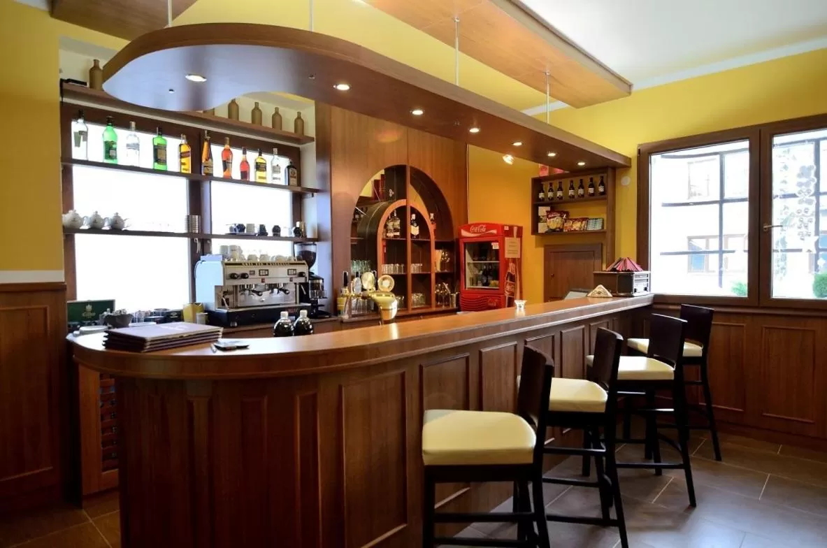 Lounge/Bar in U Dobrého Lva