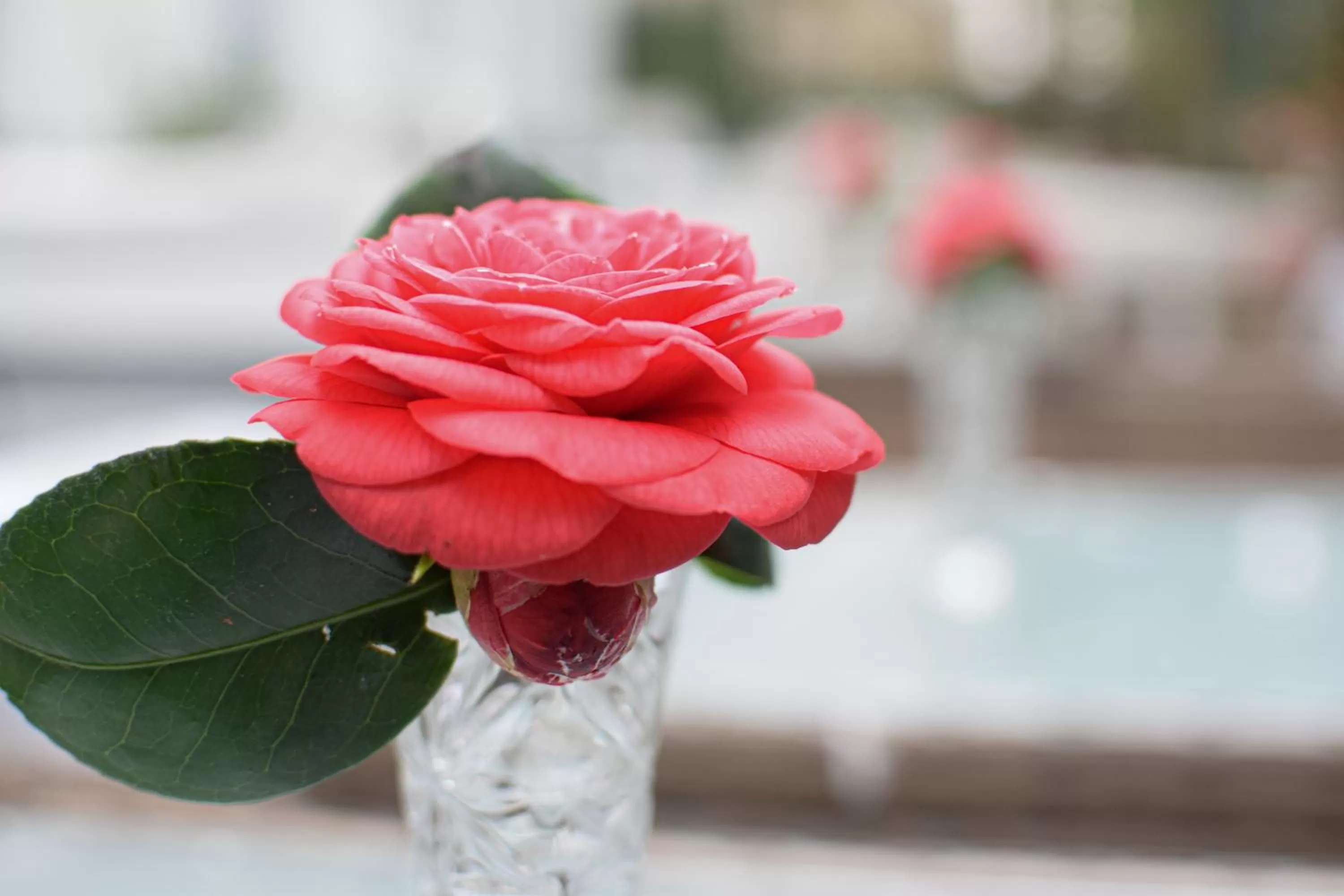 Pembridge Palace Hotel