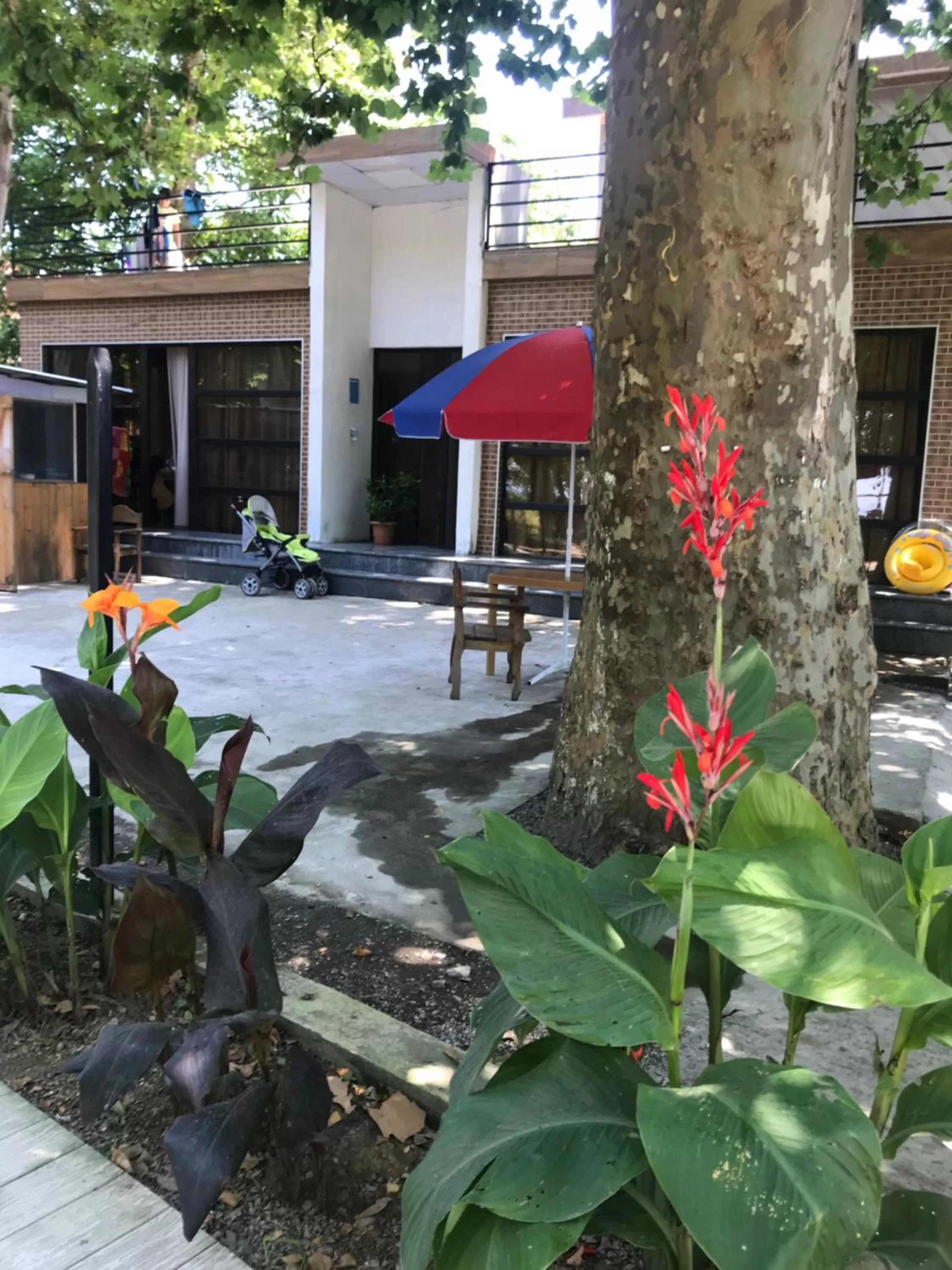 Property building in Hotel Nino Ureki