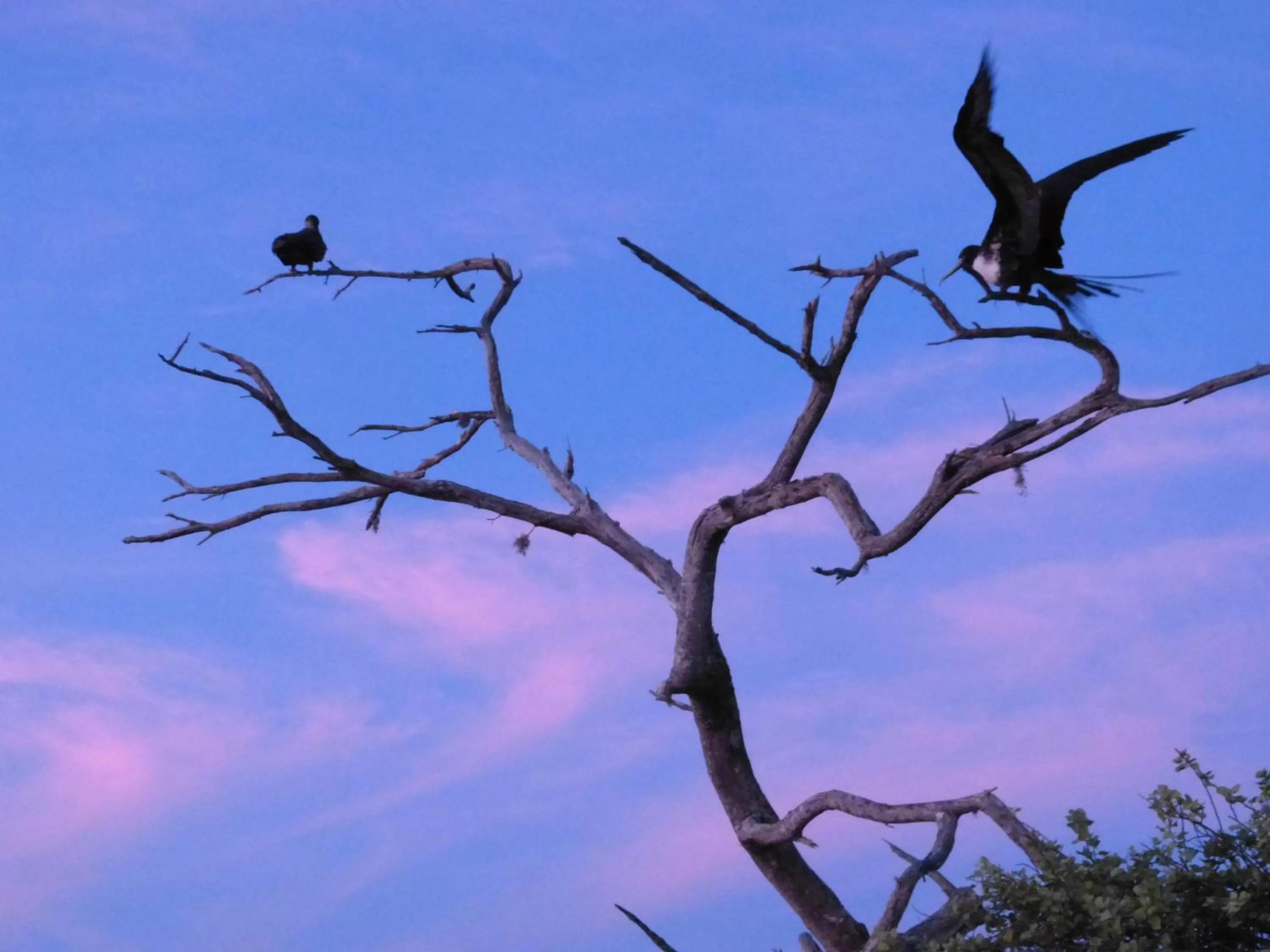 Summer in Hostal Terito