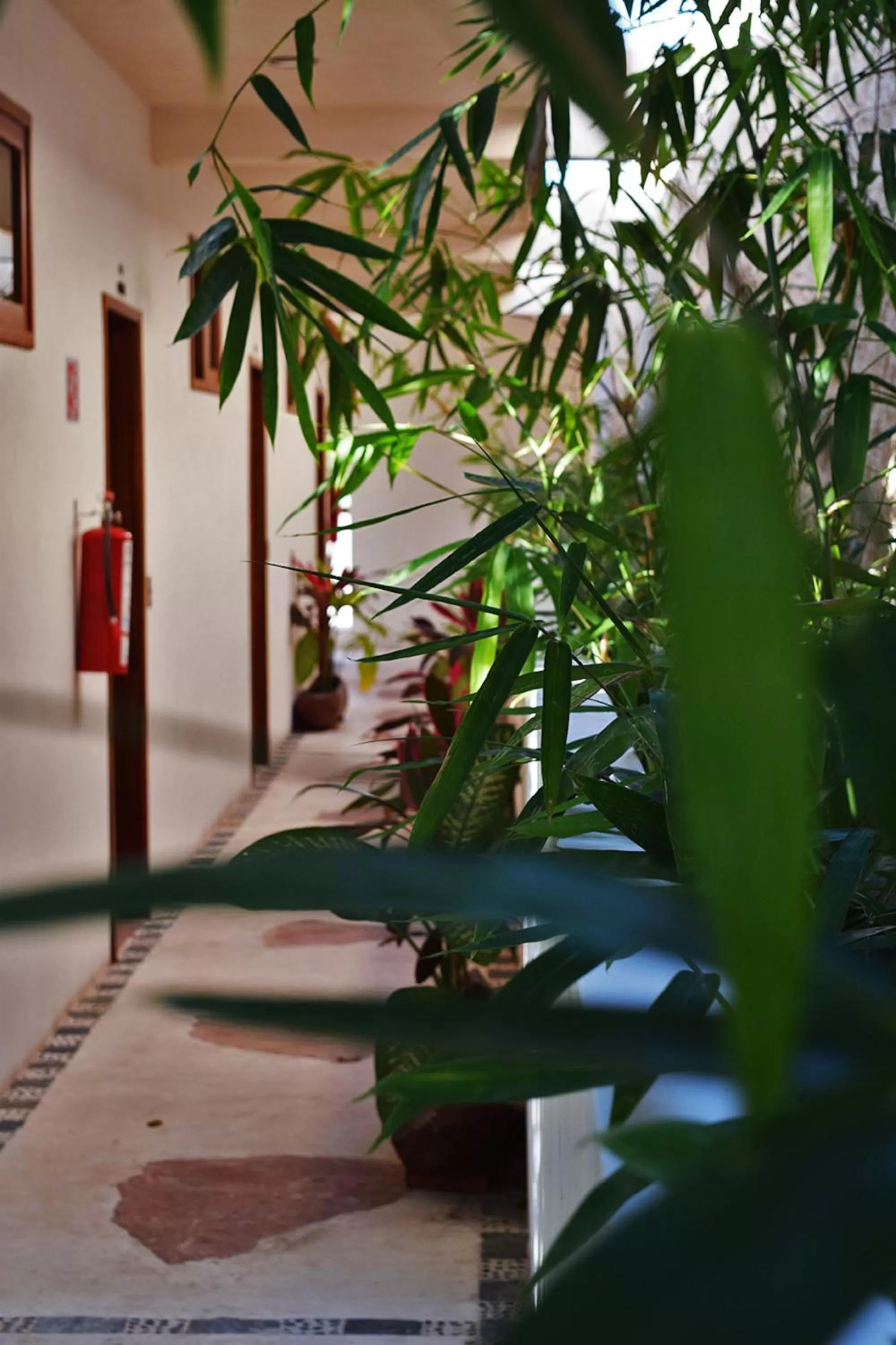 Decorative detail in Corazon De Jade Tulum