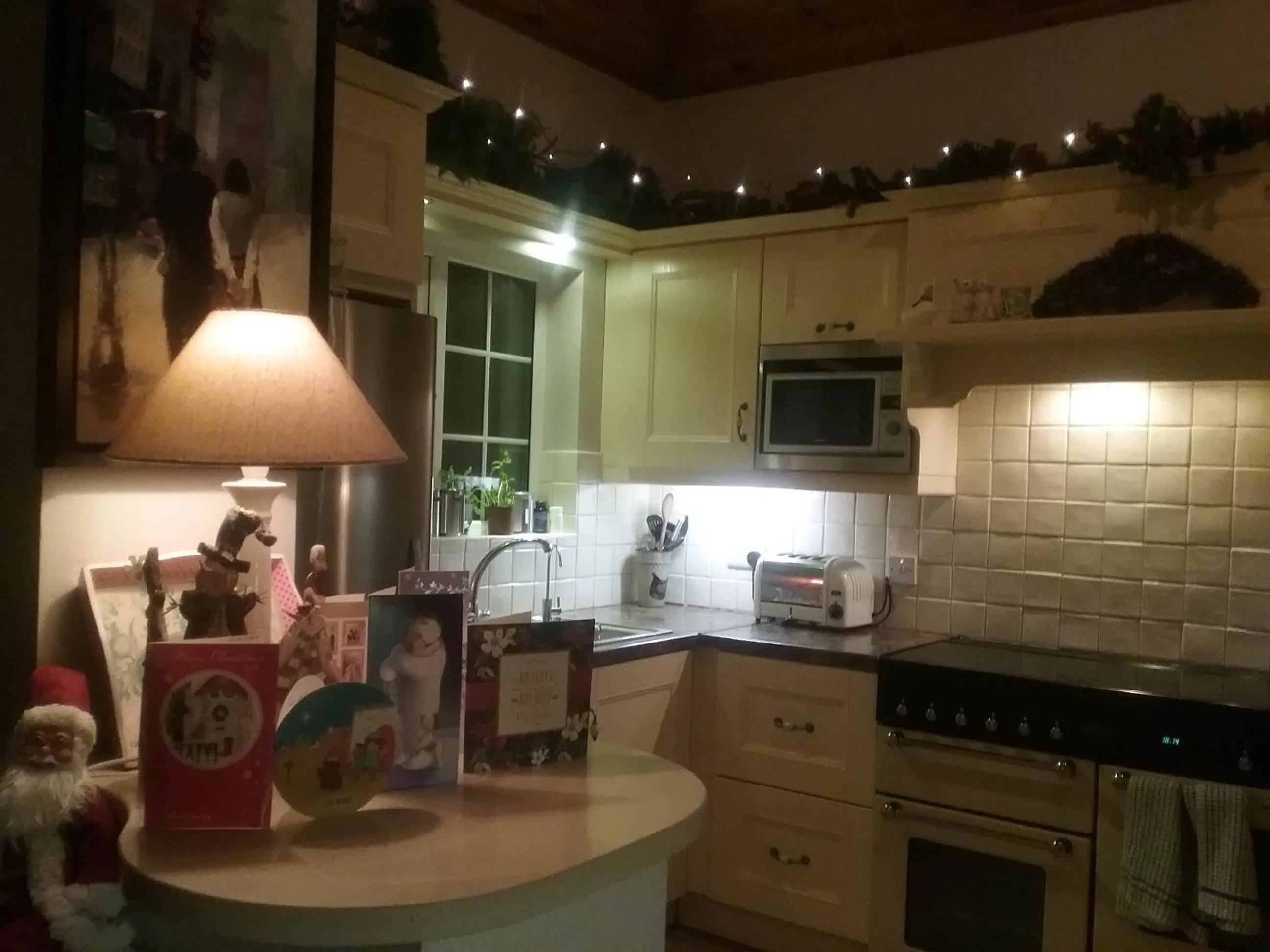 Kitchen or kitchenette in Ashleigh Guest House