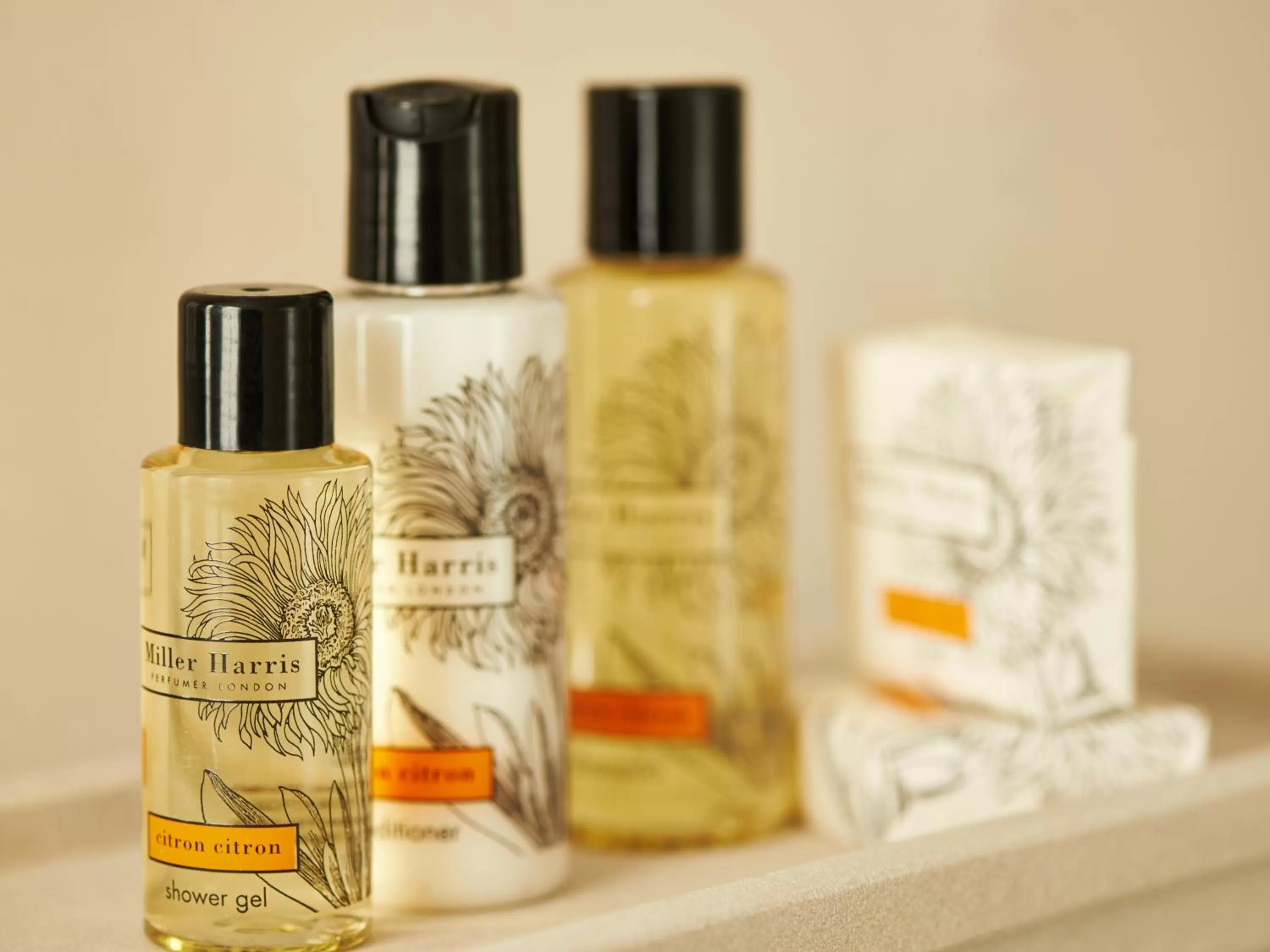 Bathroom in The Bull and The Hide