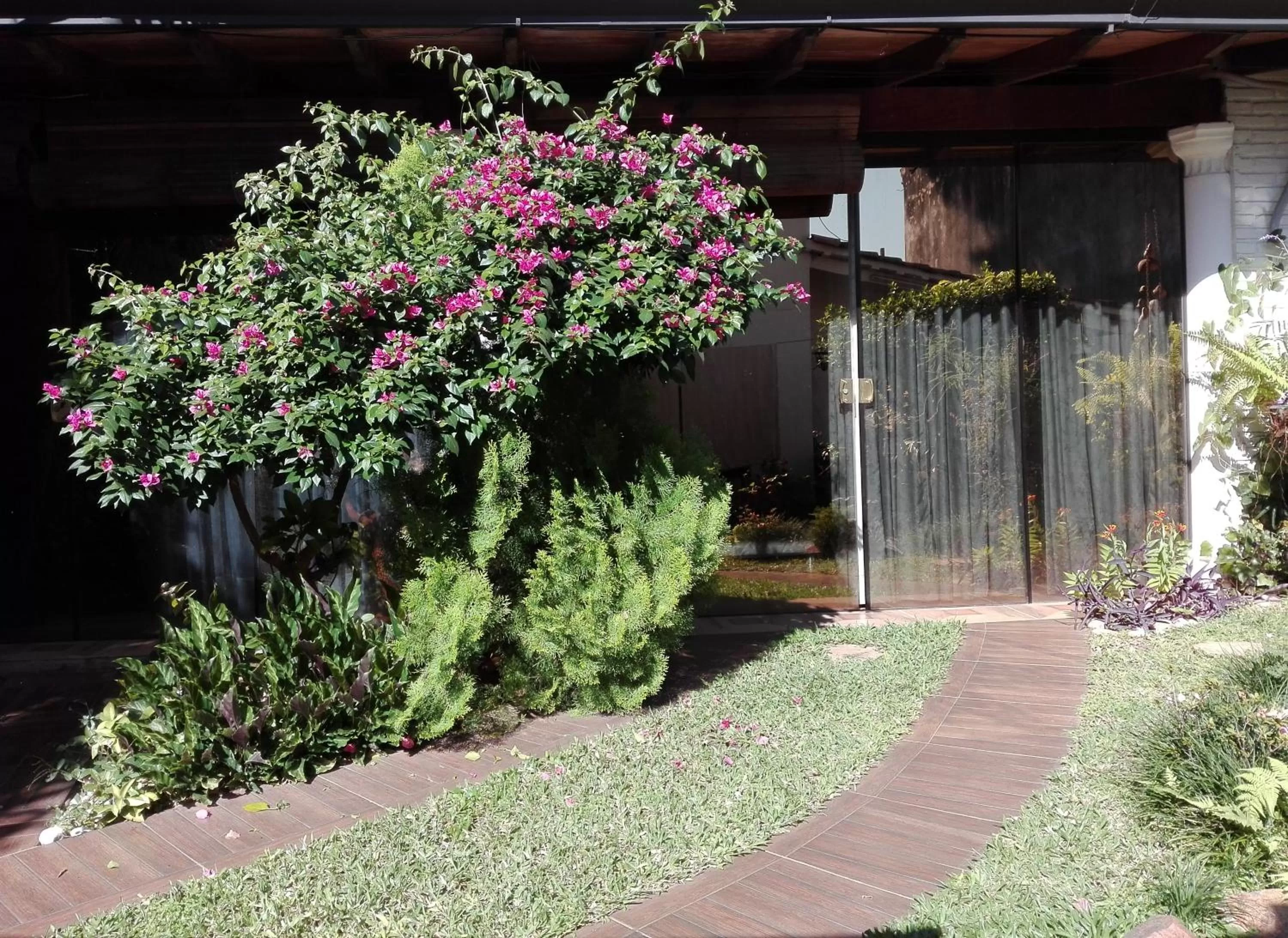 Facade/entrance in Granados