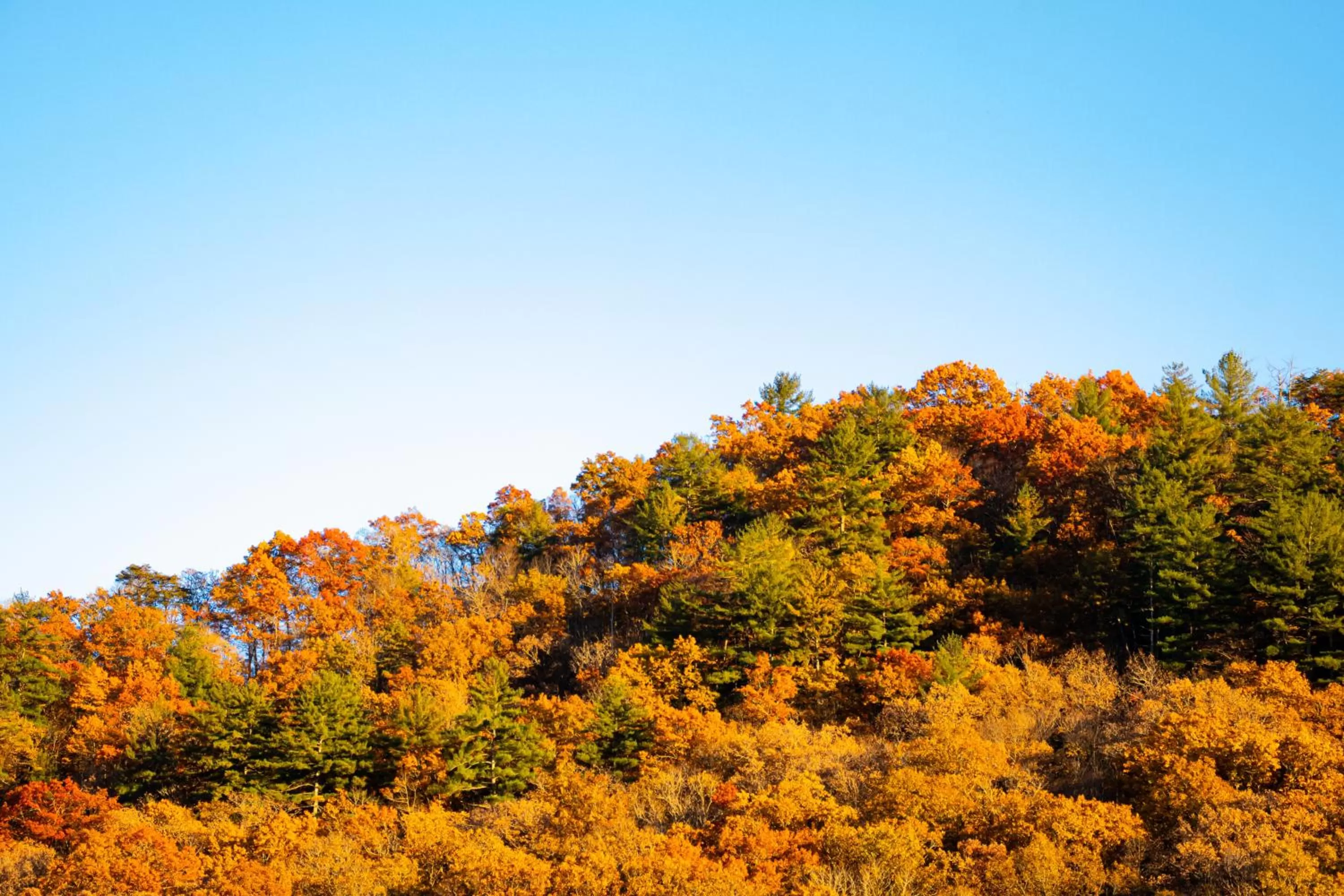 Hiking in Bay Mountain Inn Cherokee Smoky Mountains