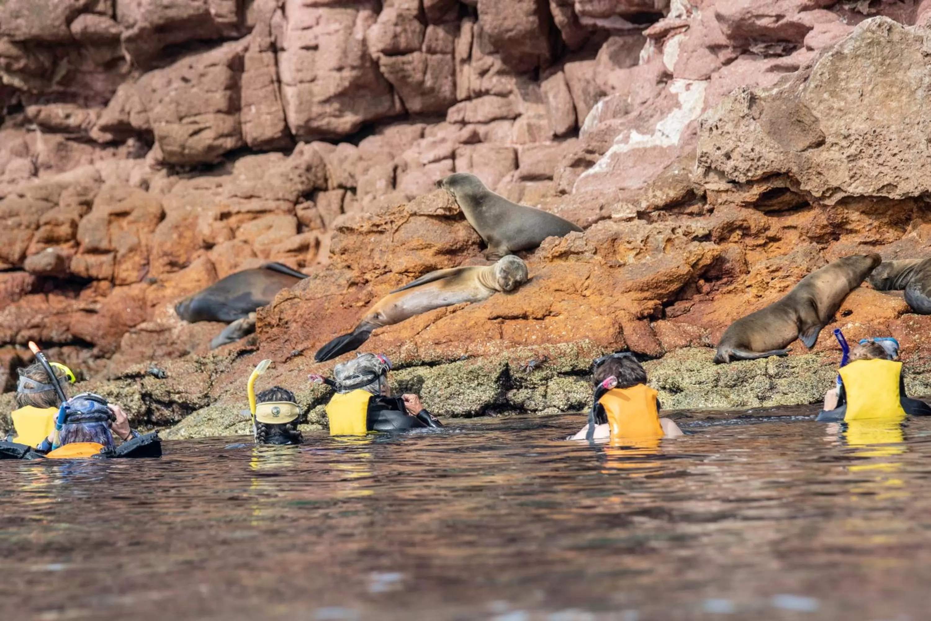 Spring in Hotel Posada Luna Sol