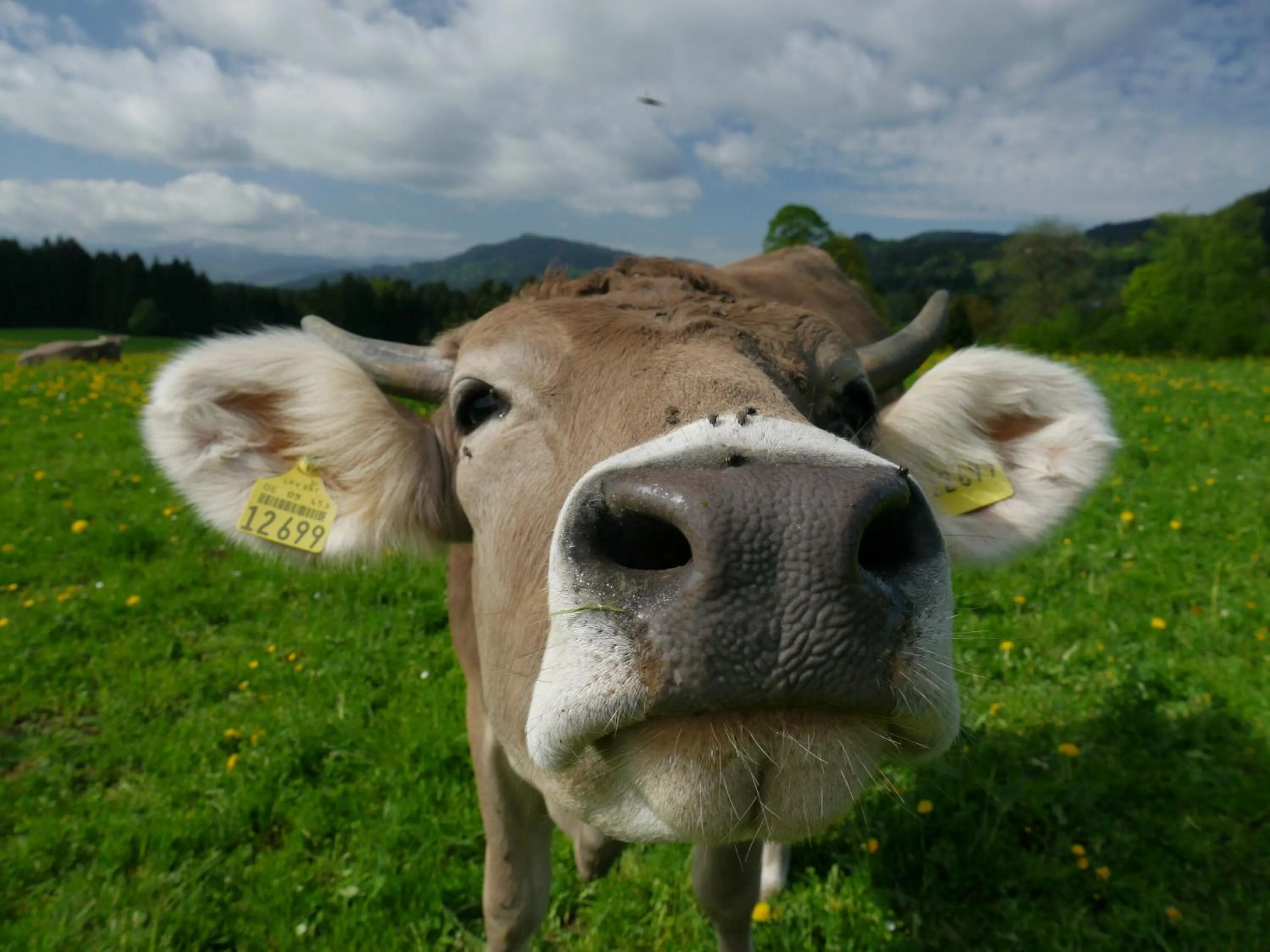 Staff in Hotel Edita