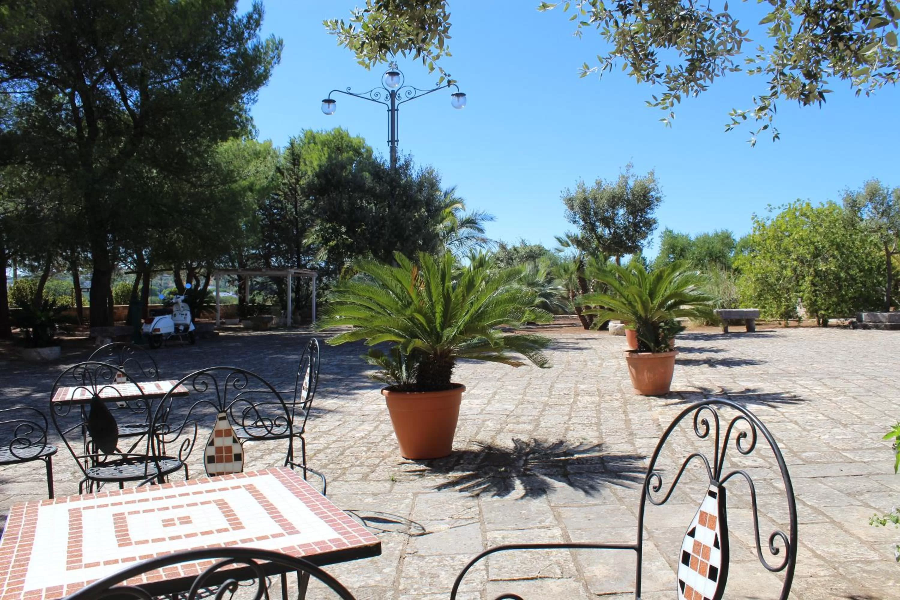 Garden in Masseria Tolla