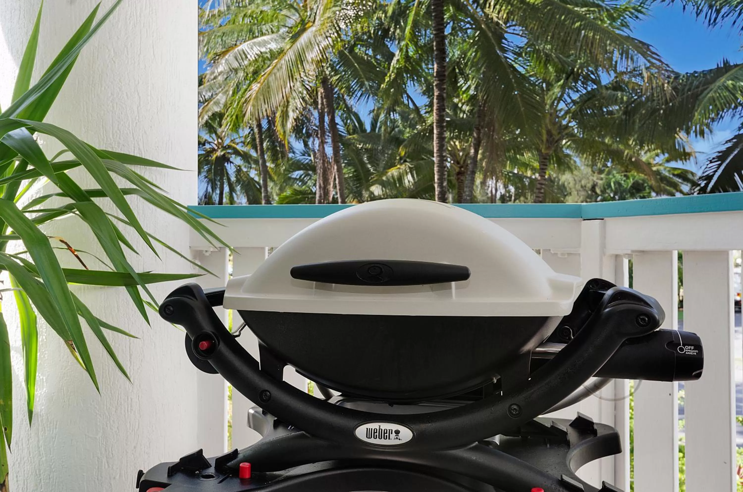 BBQ facilities in By The Sea Port Douglas