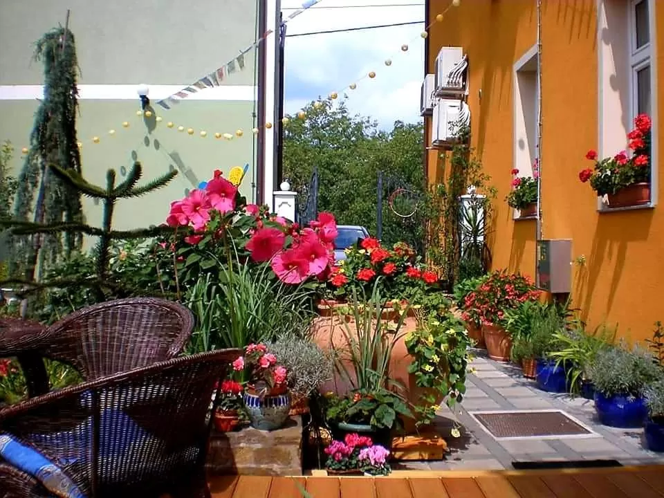 Garden in Hostel Sonce