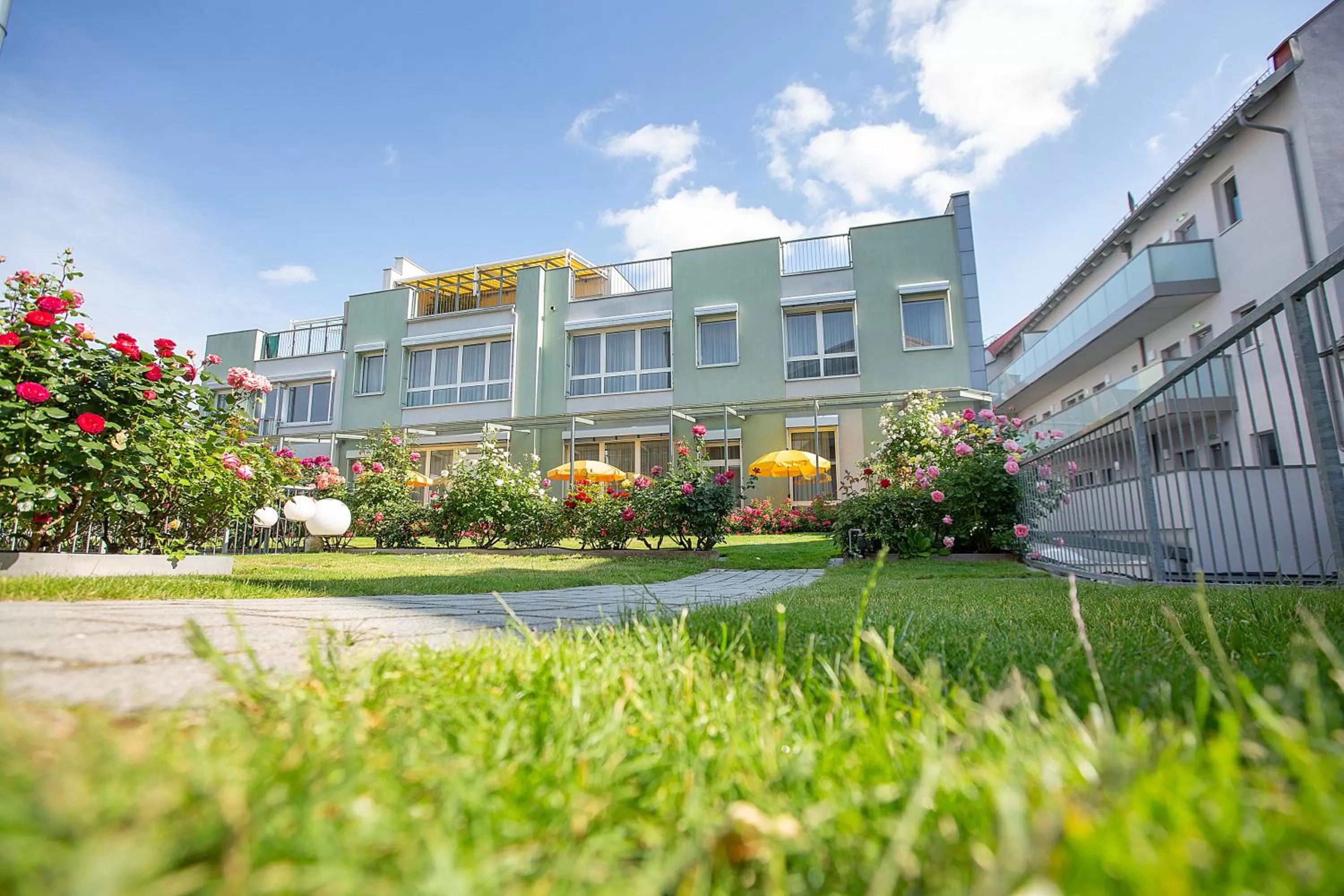 Garden in Hotel Gollner