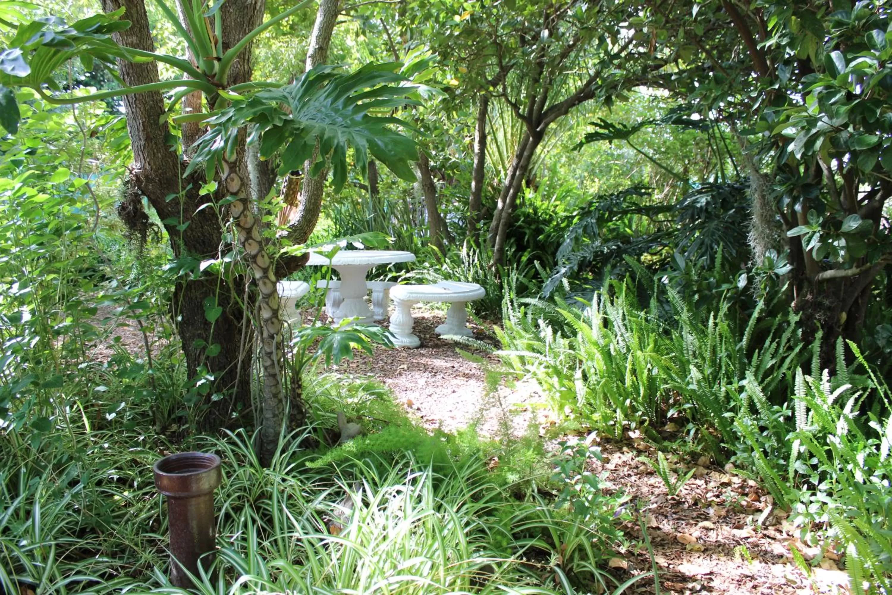 Garden in Aquaelberg Place