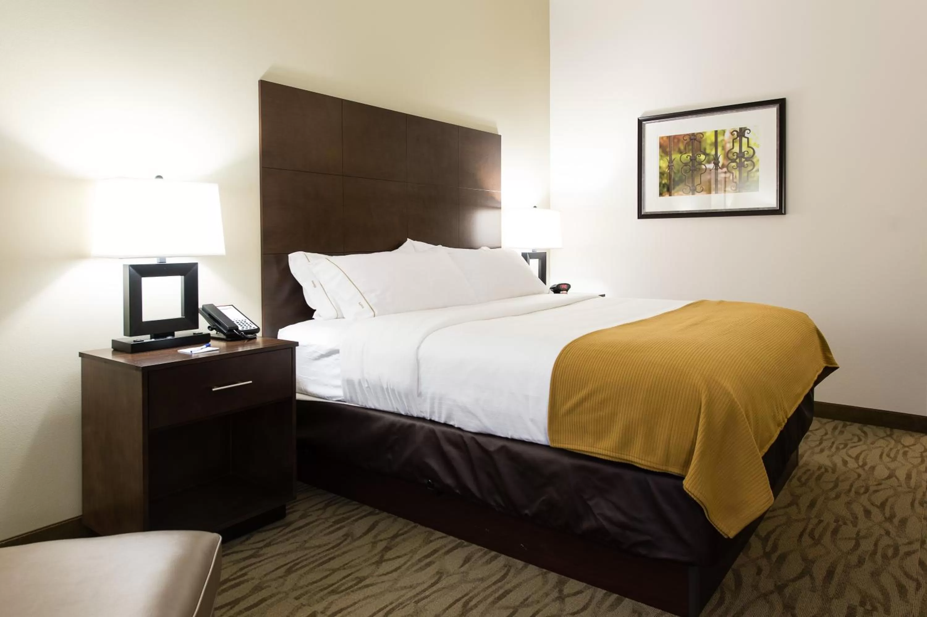 King Room - Hearing Accessible in Holiday Inn Express & Suites Aiken, an IHG Hotel