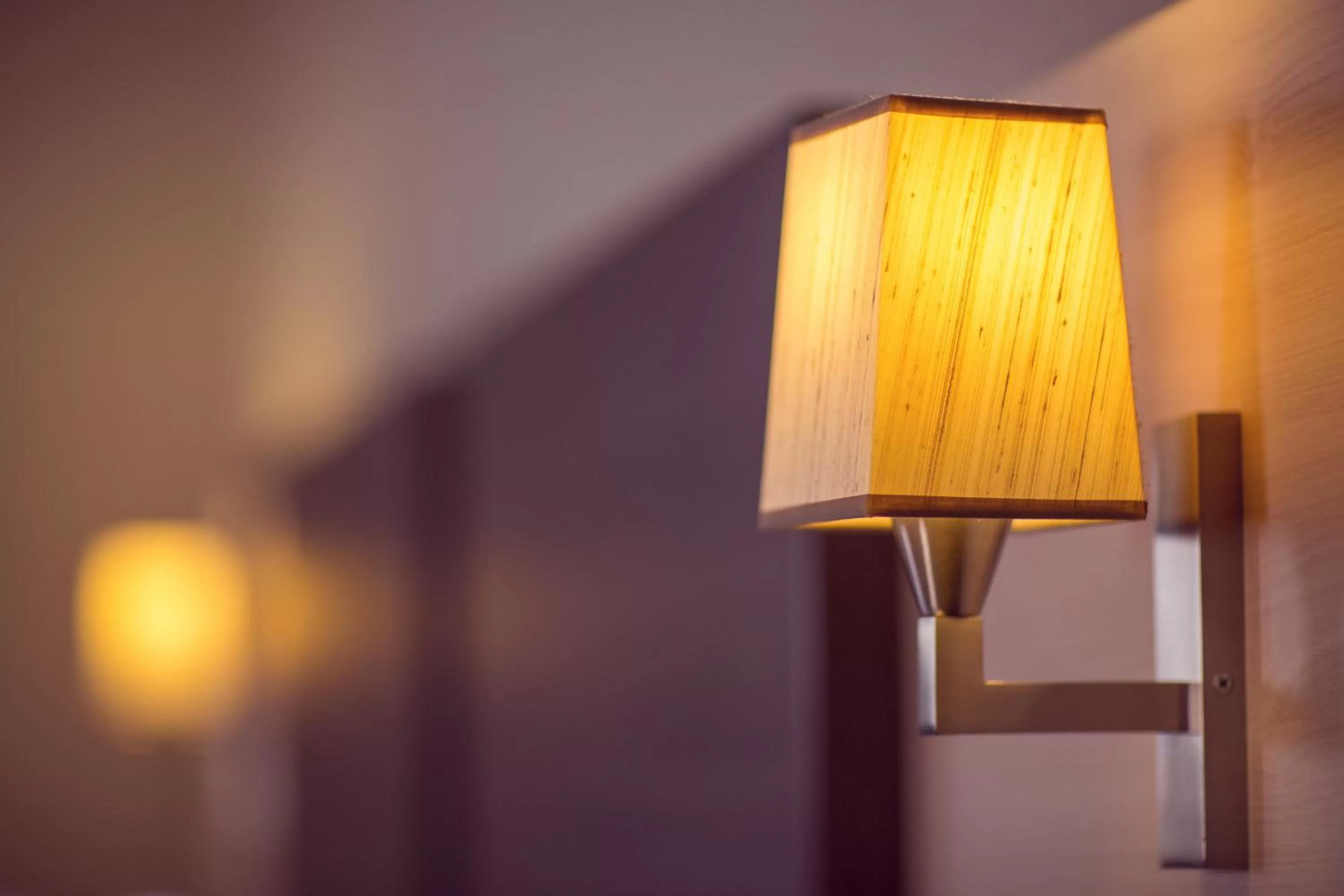 Decorative detail in Best Western Plus Richelieu