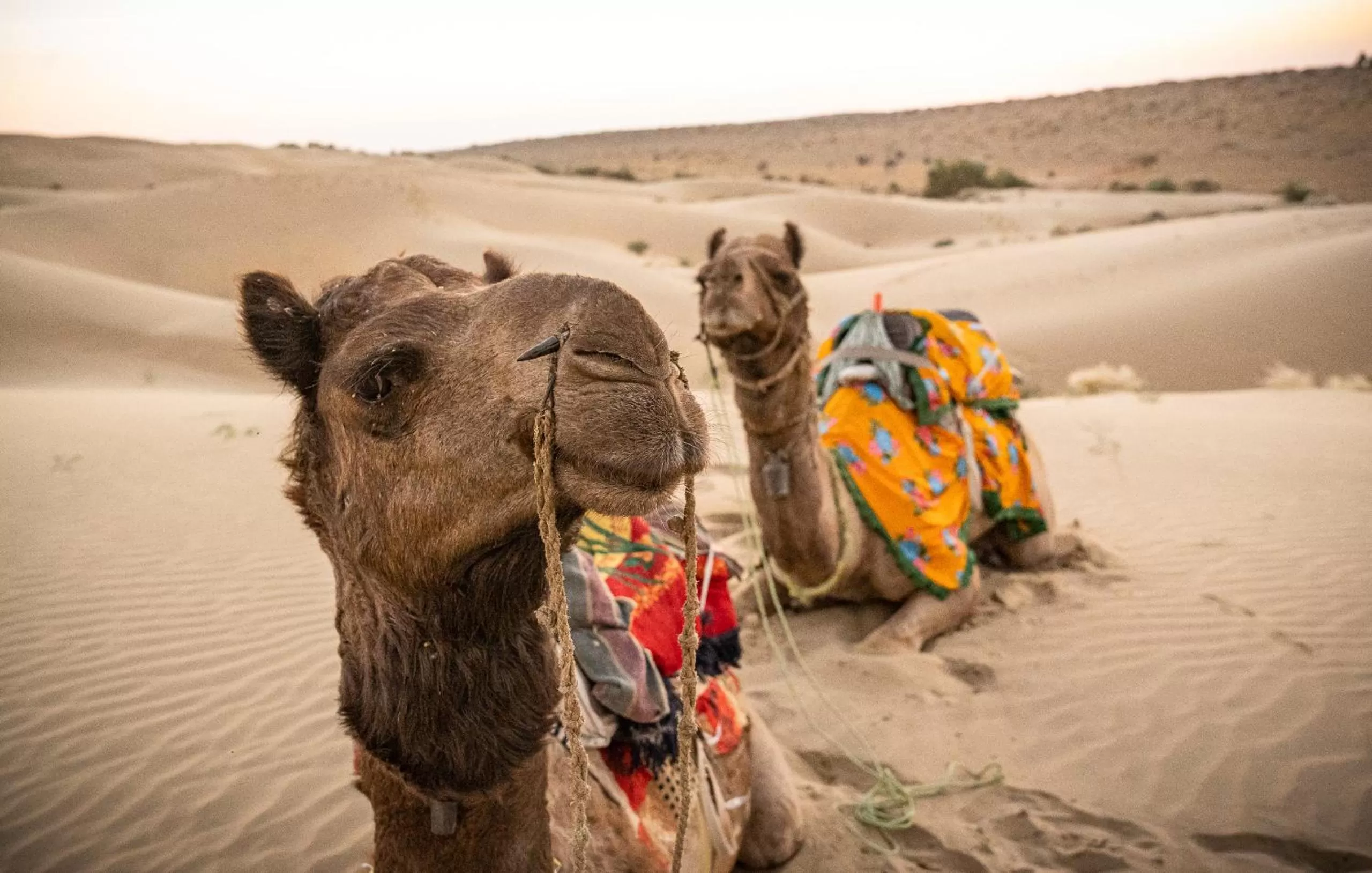 Day in Hotel Jasmin Haveli