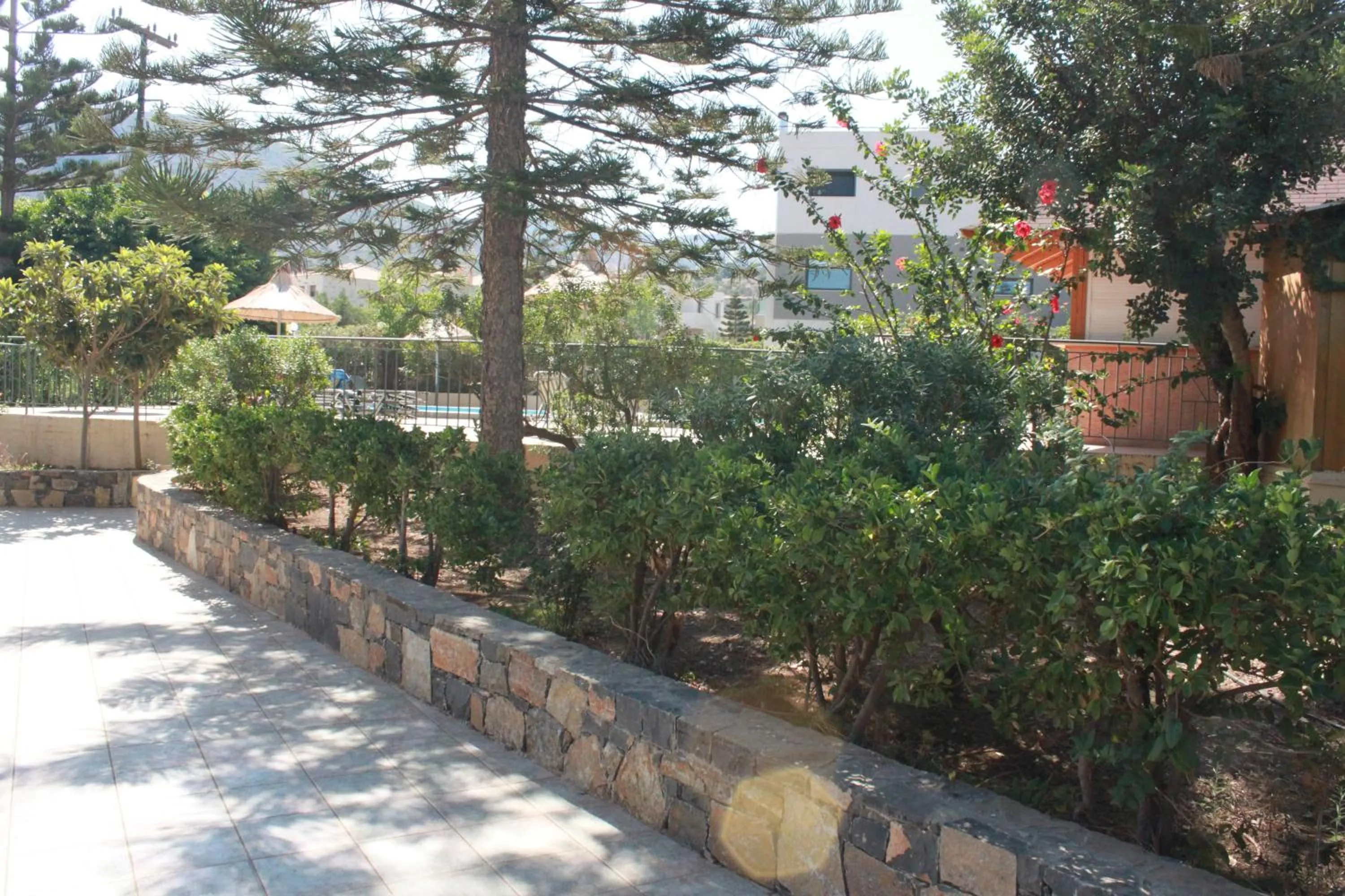 Garden in Villa Medusa