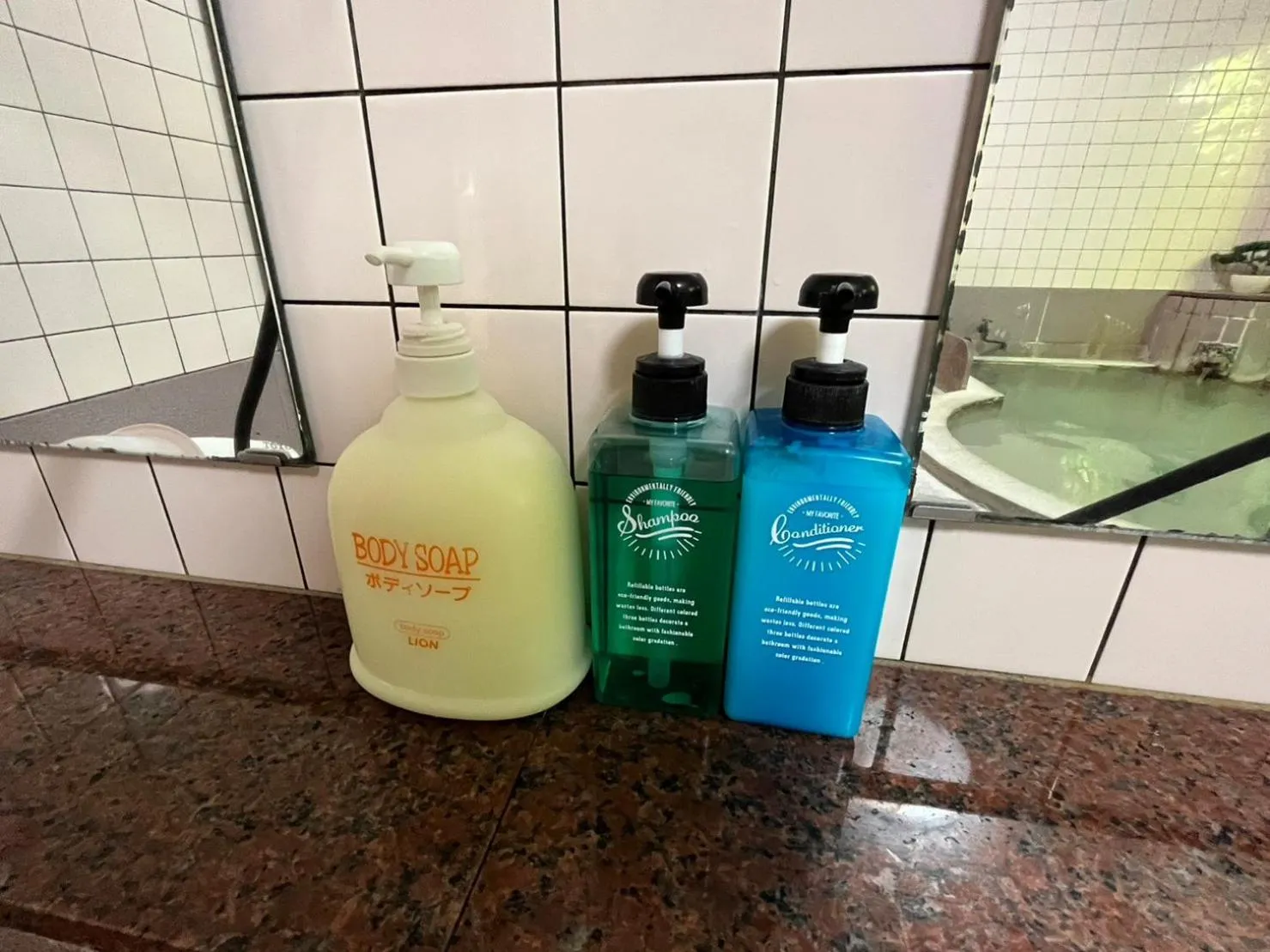 Shower in Fuji-Hakone Guest House