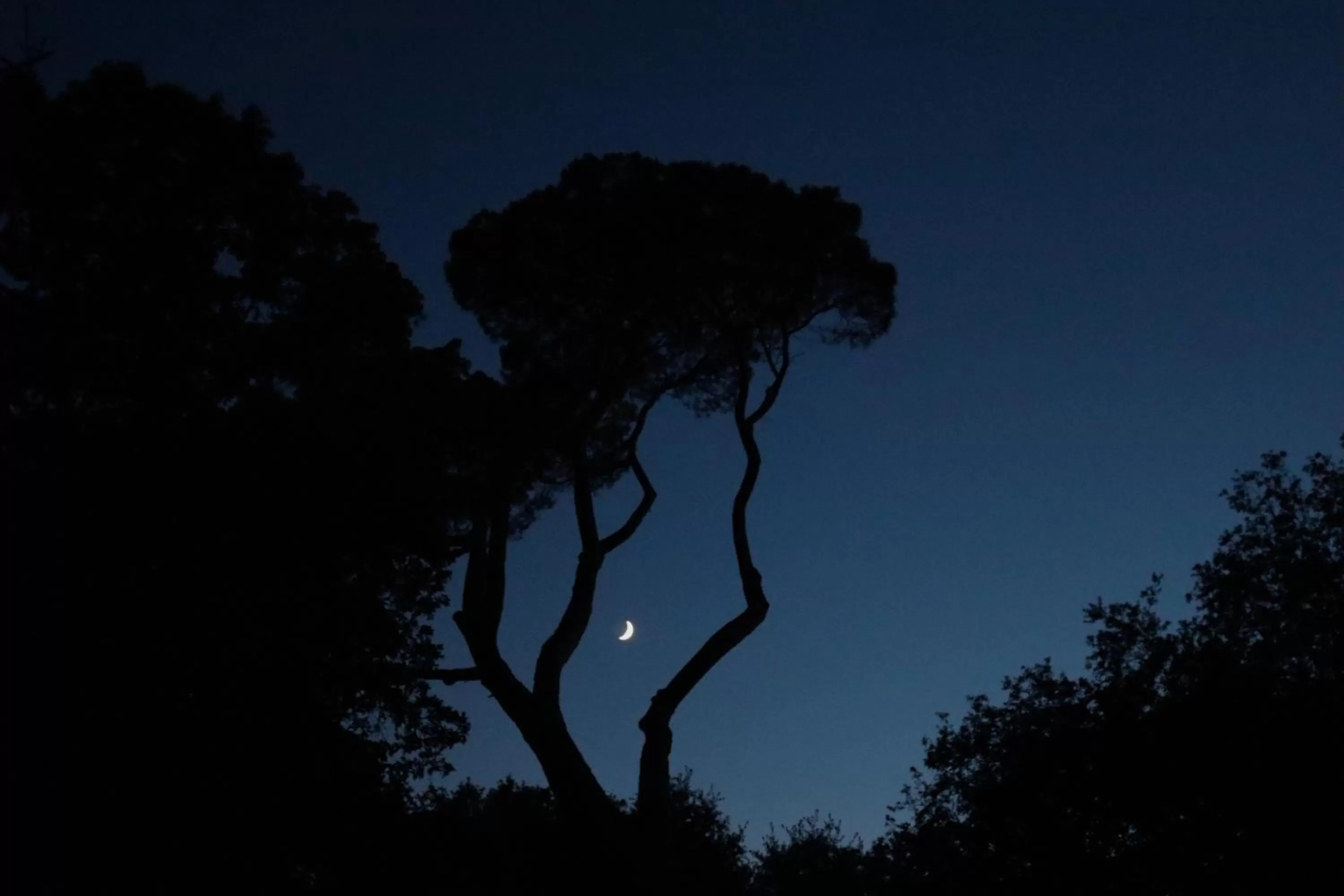 Maison D'hôtes Sainte-Marie