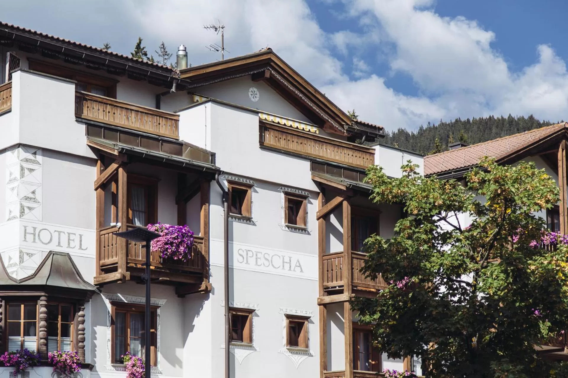 Property building in Hotel Spescha