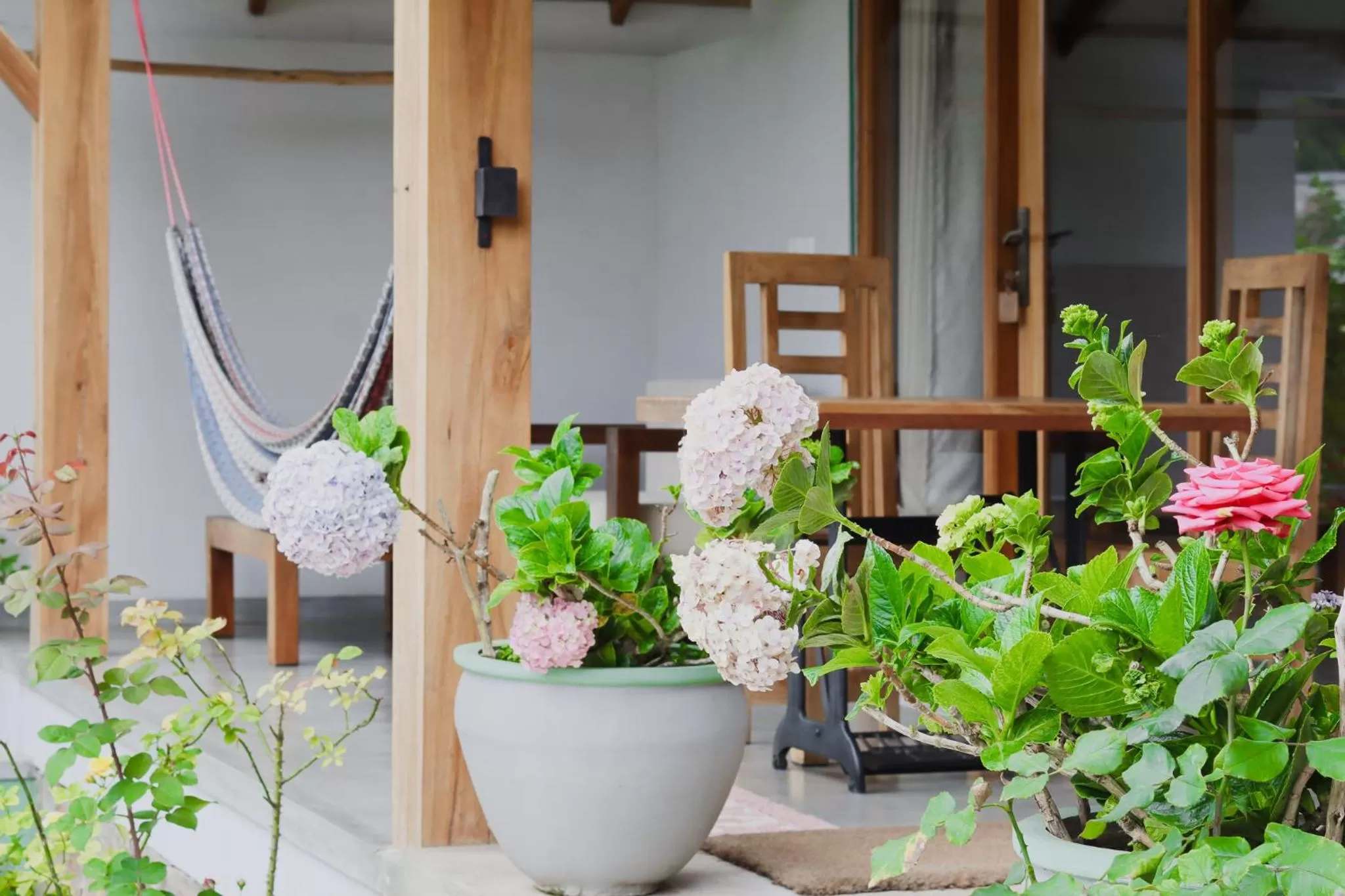 Garden in The One Ella