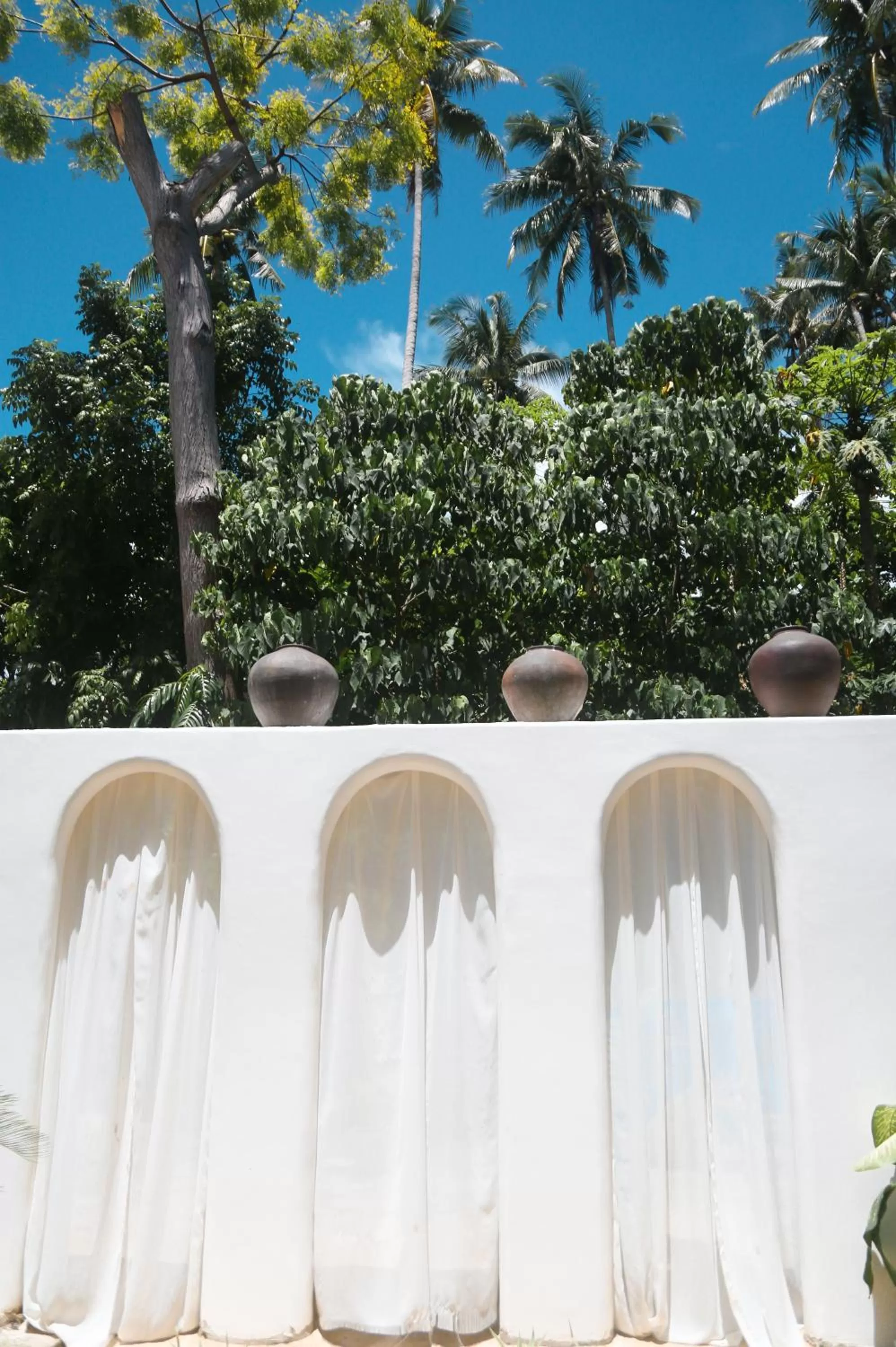 Garden in Bassa nova villa