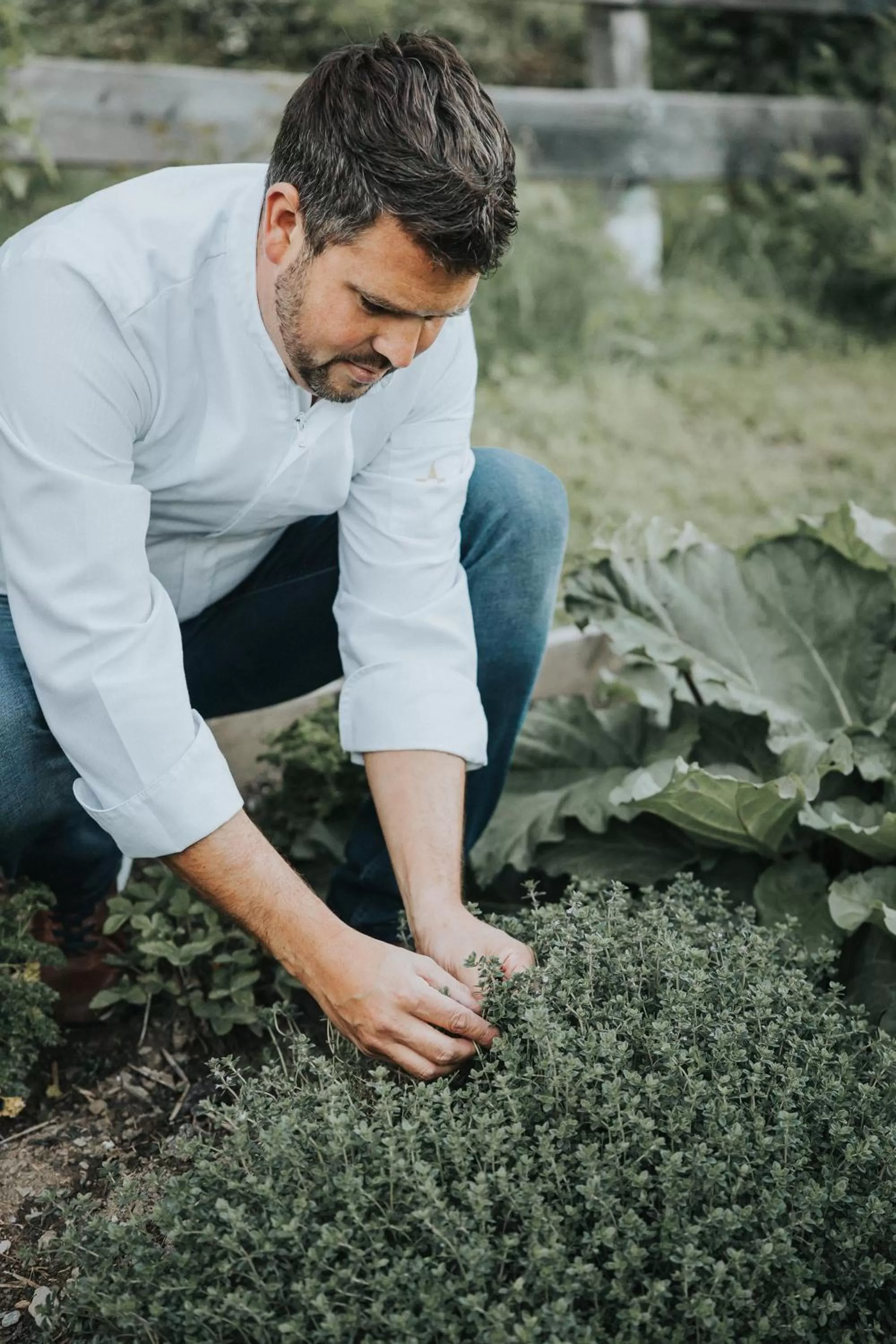Garden in Hotel Silberfux