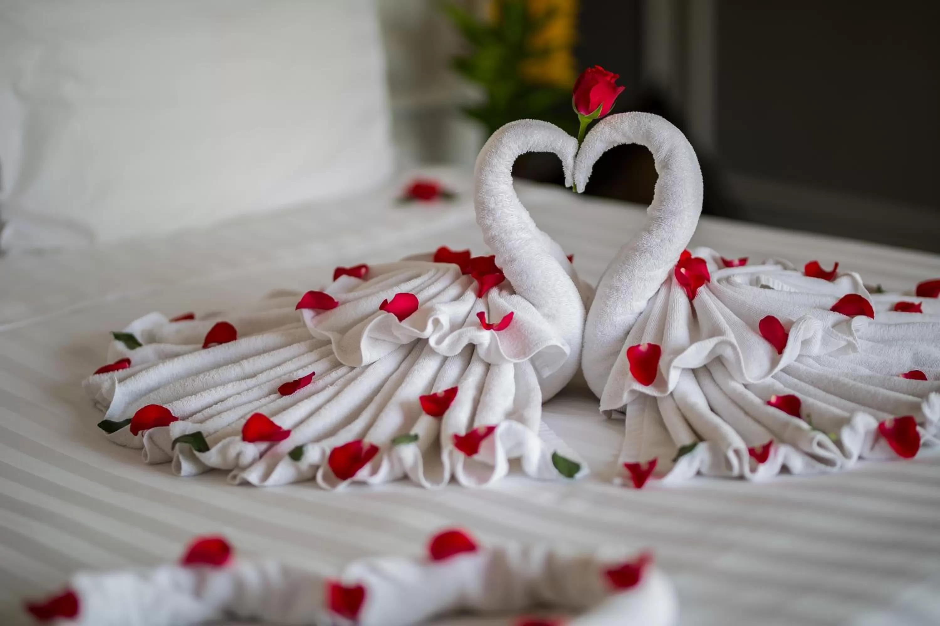 Lake view, Bed in Hanoi Media Hotel & Spa