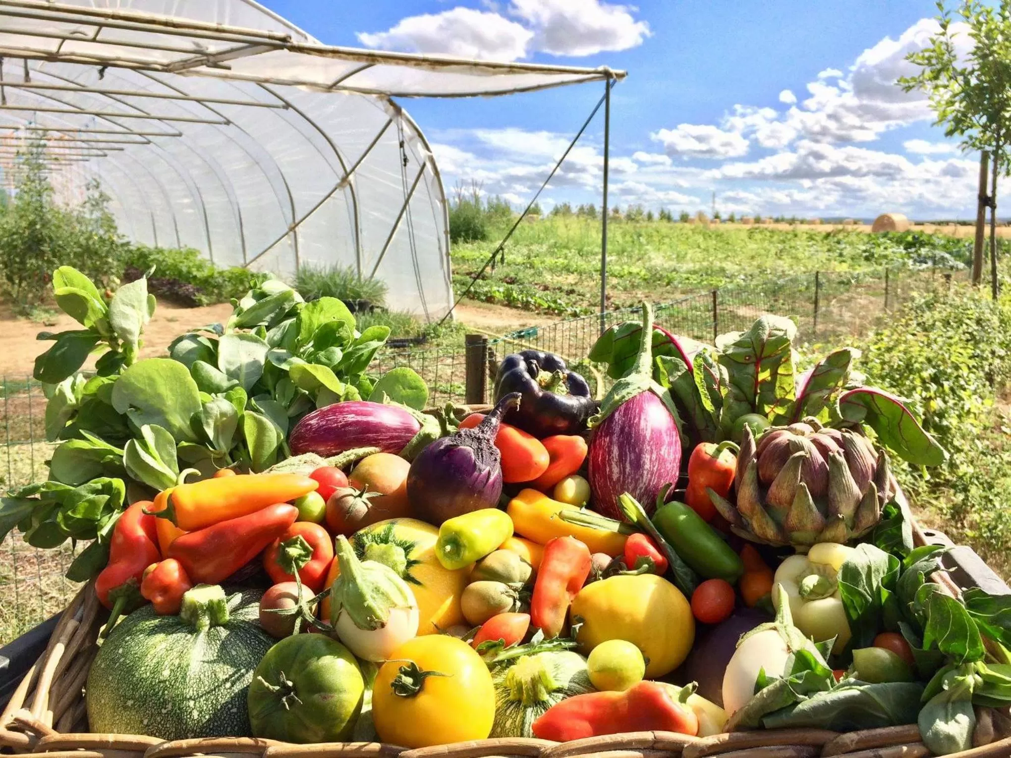 Spring in Domaine de Naxhelet
