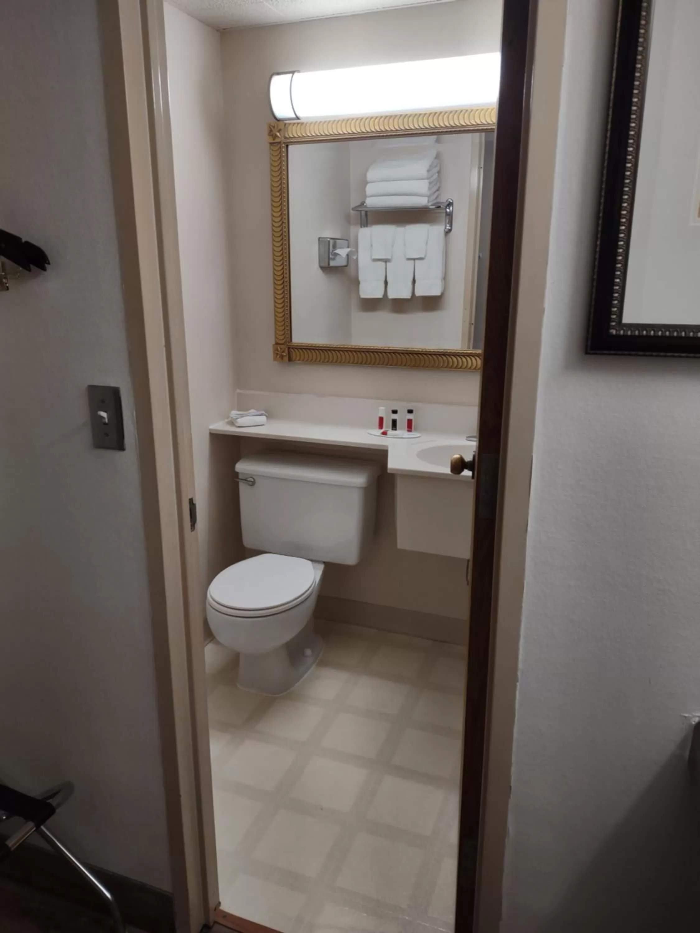 Bathroom in Ramada by Wyndham Albert Lea