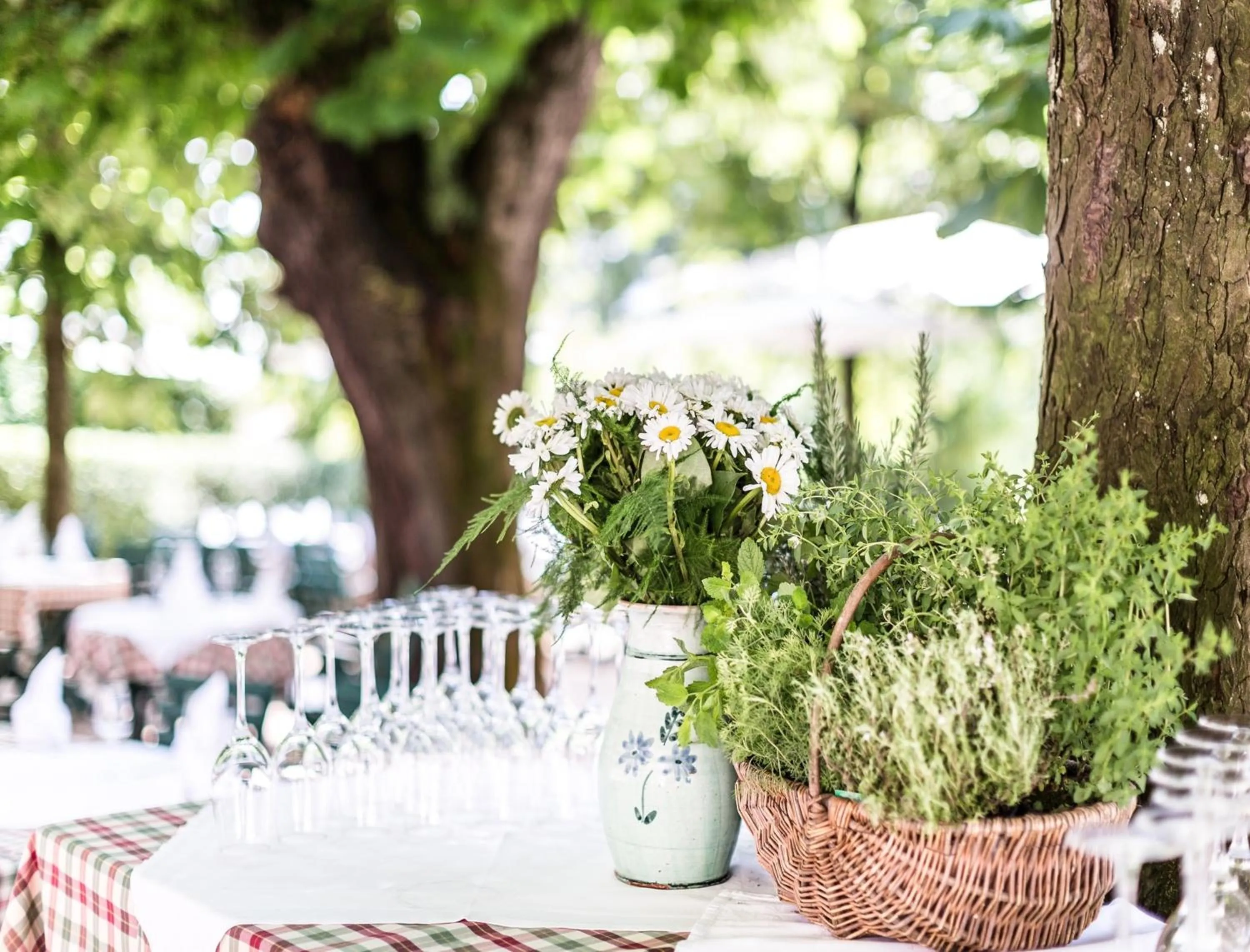 Garden in Salzburg Hotel Holznerwirt