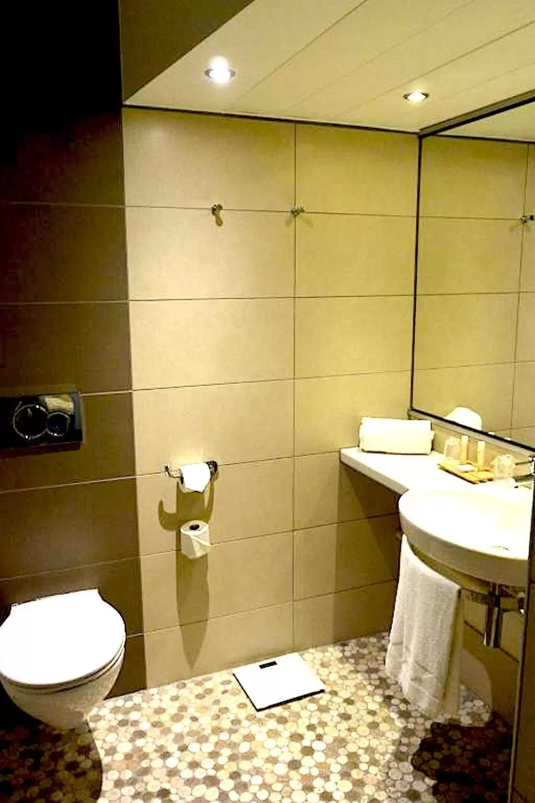 Bathroom in Golden Tulip Bâle Mulhouse - Hôtel Restaurant