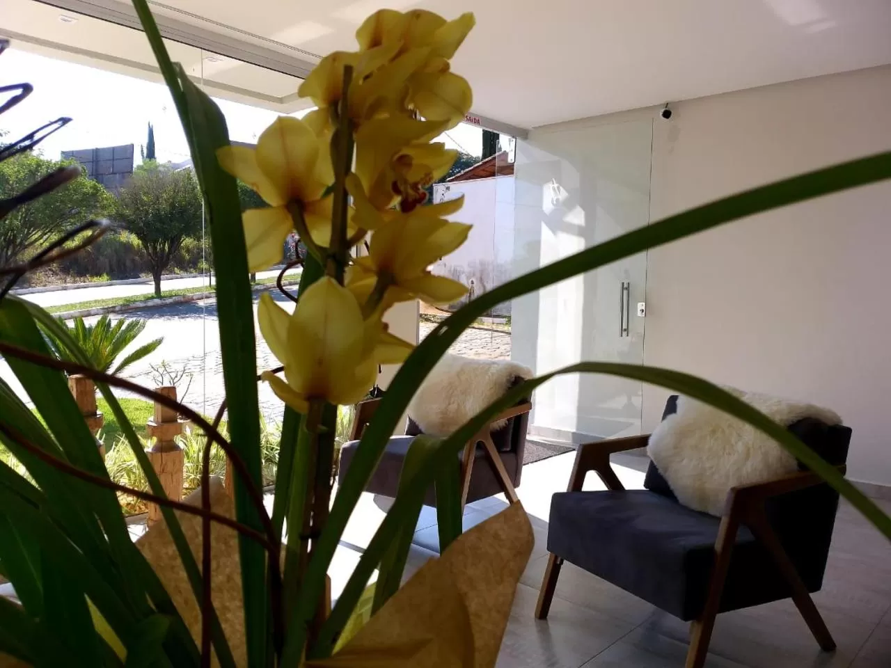 Hotel Petaluma Piumhi