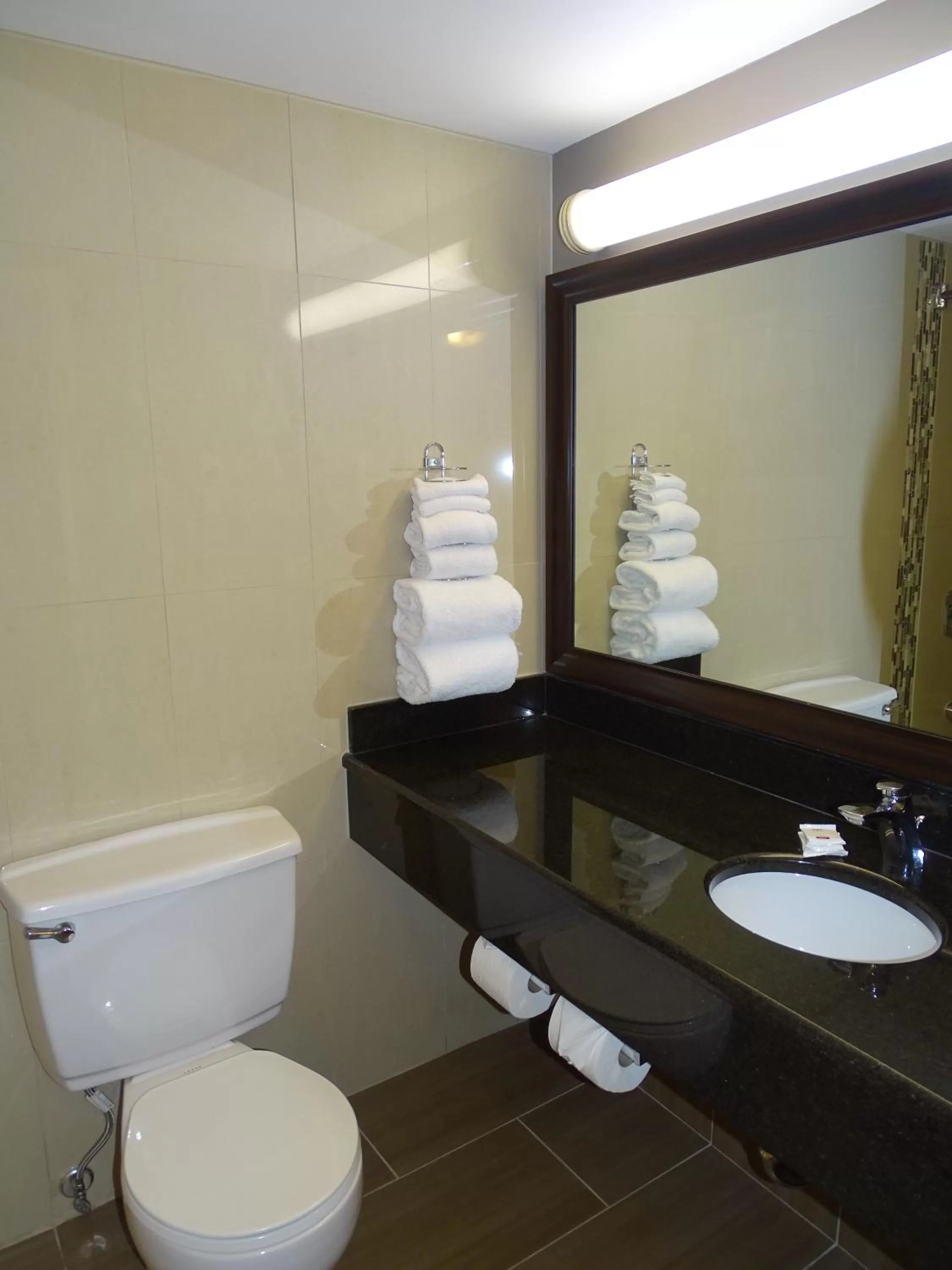 Bathroom in Ramada by Wyndham Lindsay