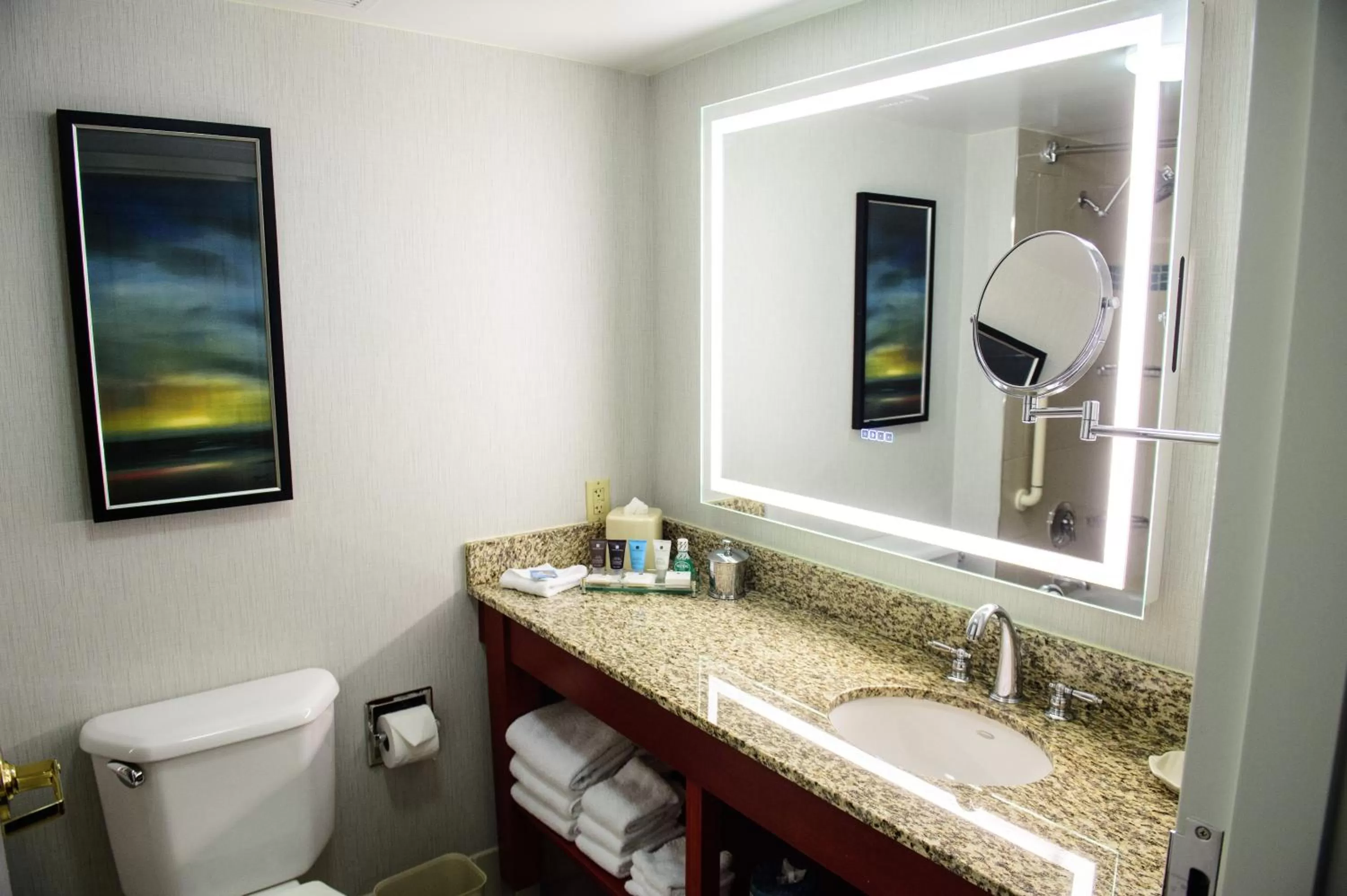 Bathroom in Crowne Plaza Dulles Airport by IHG