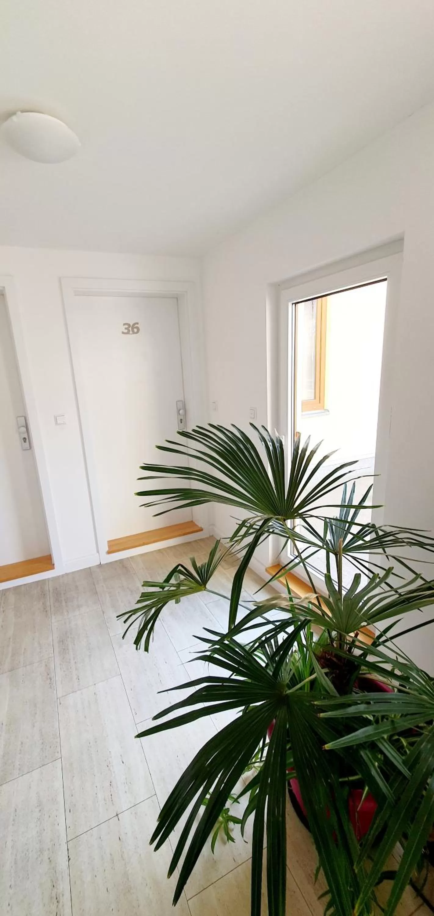 Property building in Boutique-Hotel Kronenstuben