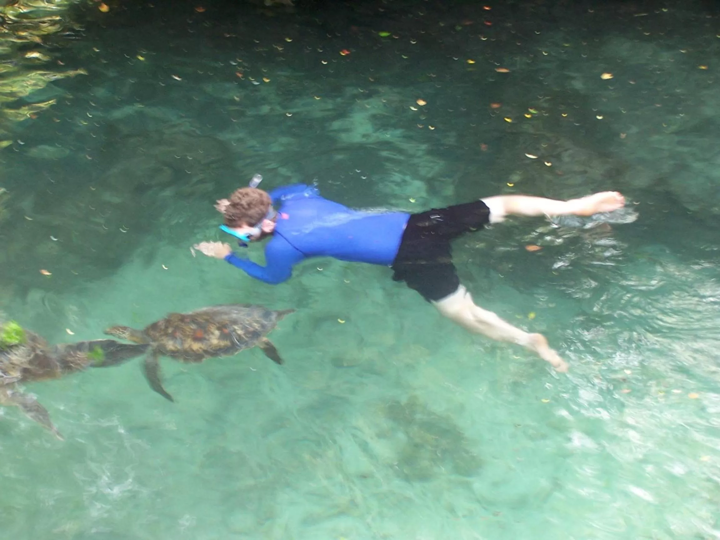 Snorkeling in Baraka Aquarium Bungalows