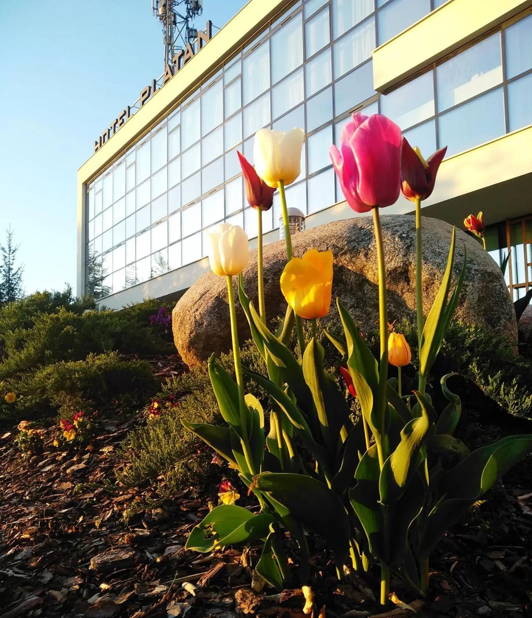 Property building in Hotel Platan