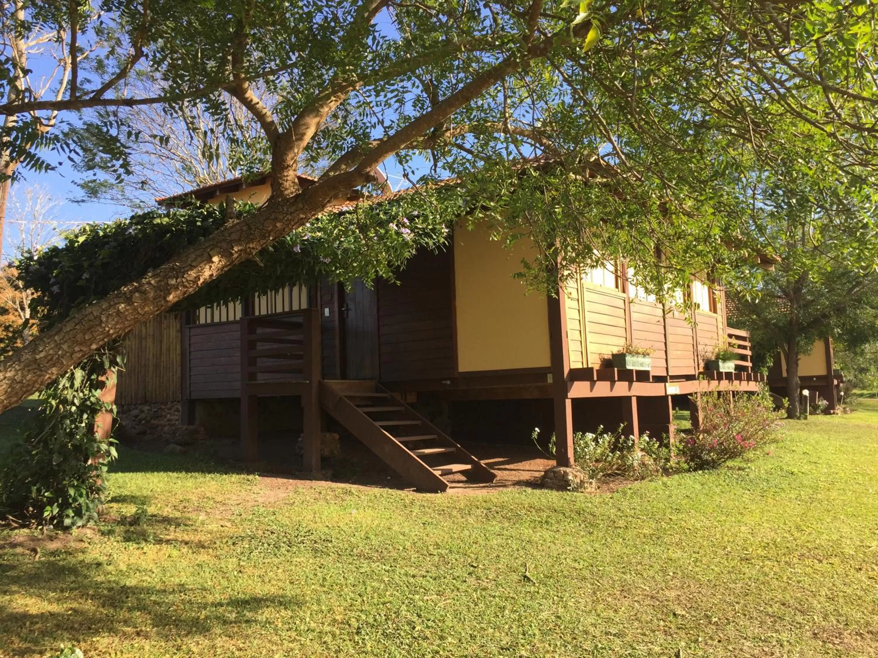 Garden in Hotel Santa Esmeralda