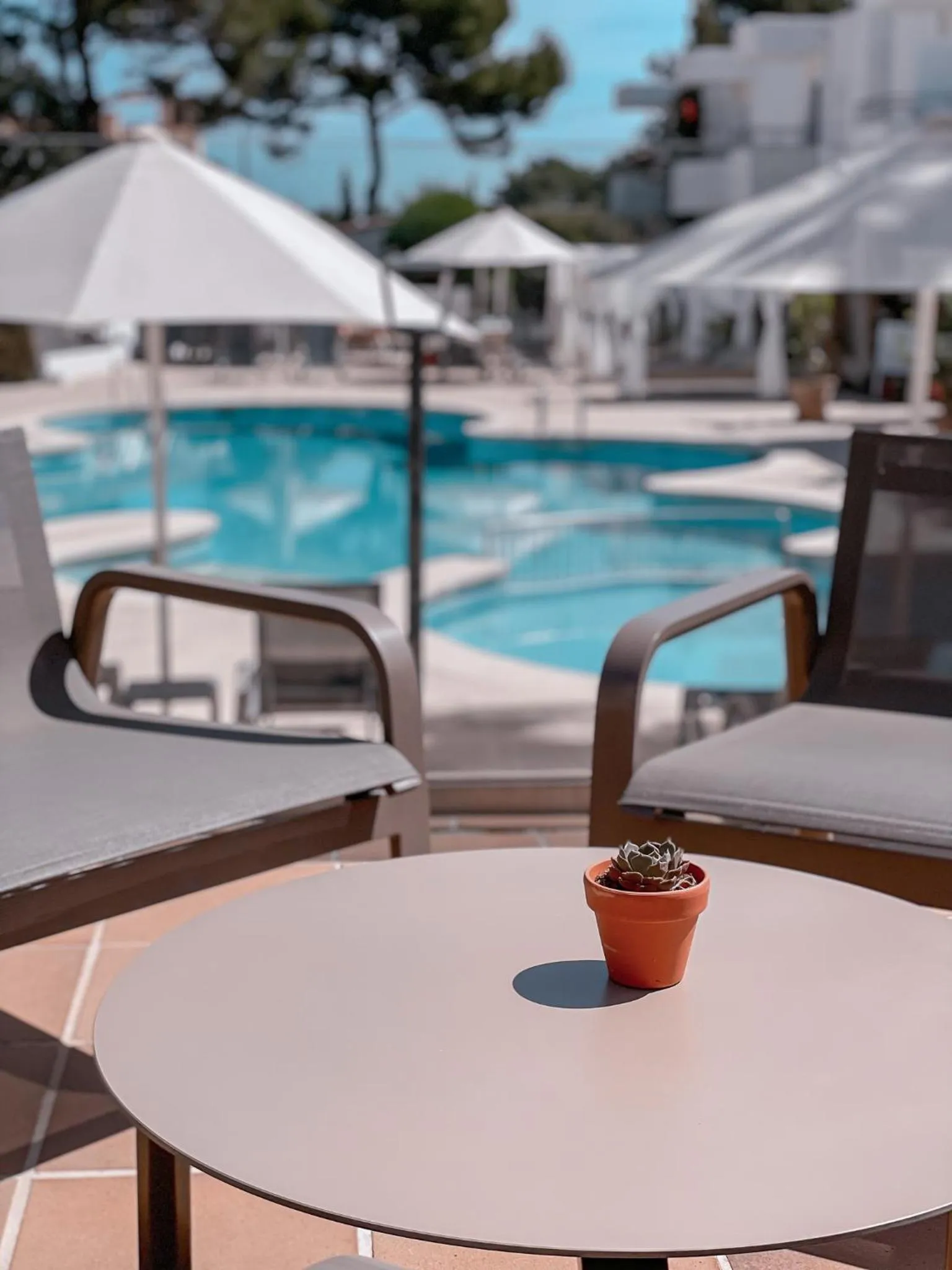 Swimming pool in Prinsotel Mal Pas - Adults Only