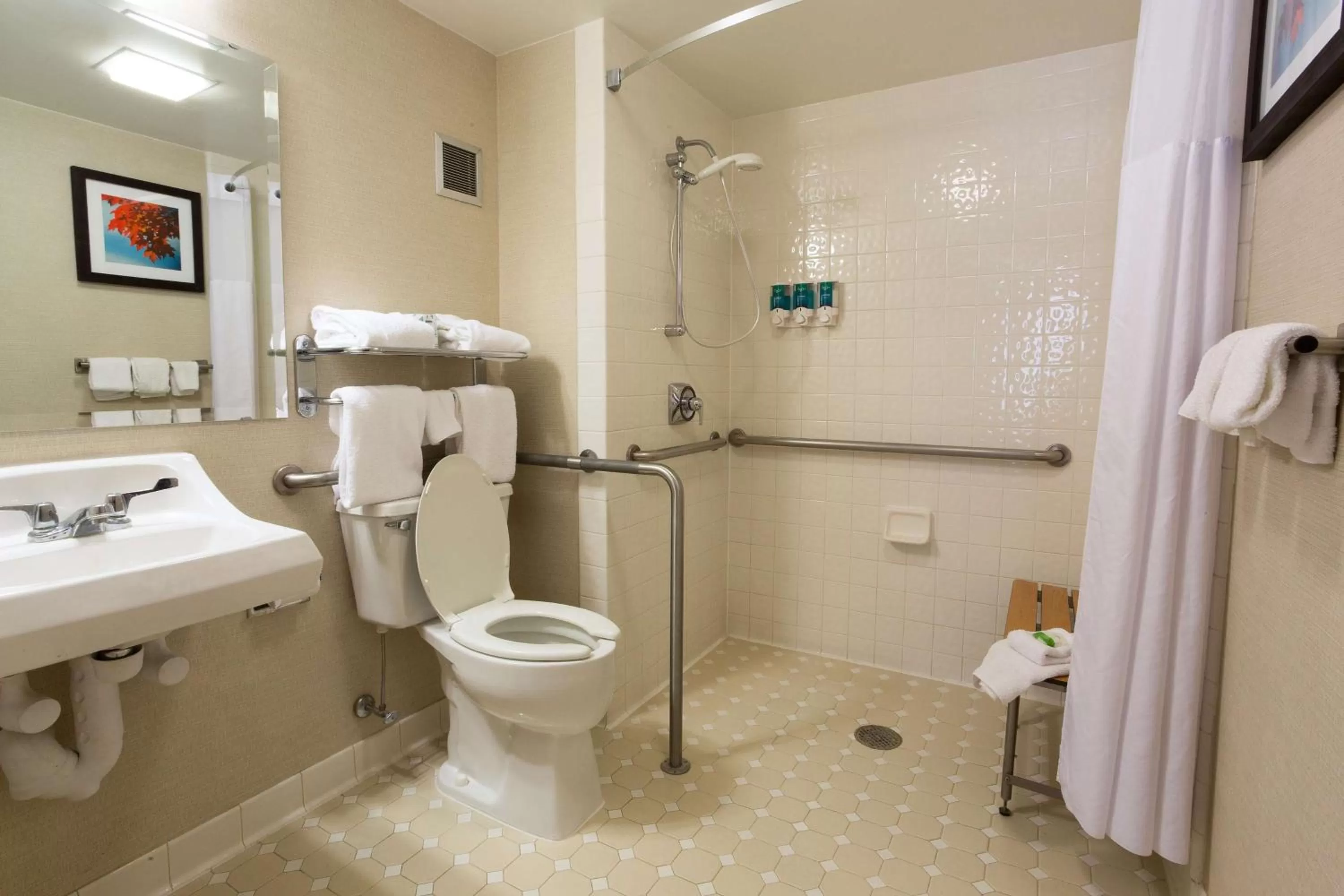 Bathroom in Pear Tree Inn Terre Haute