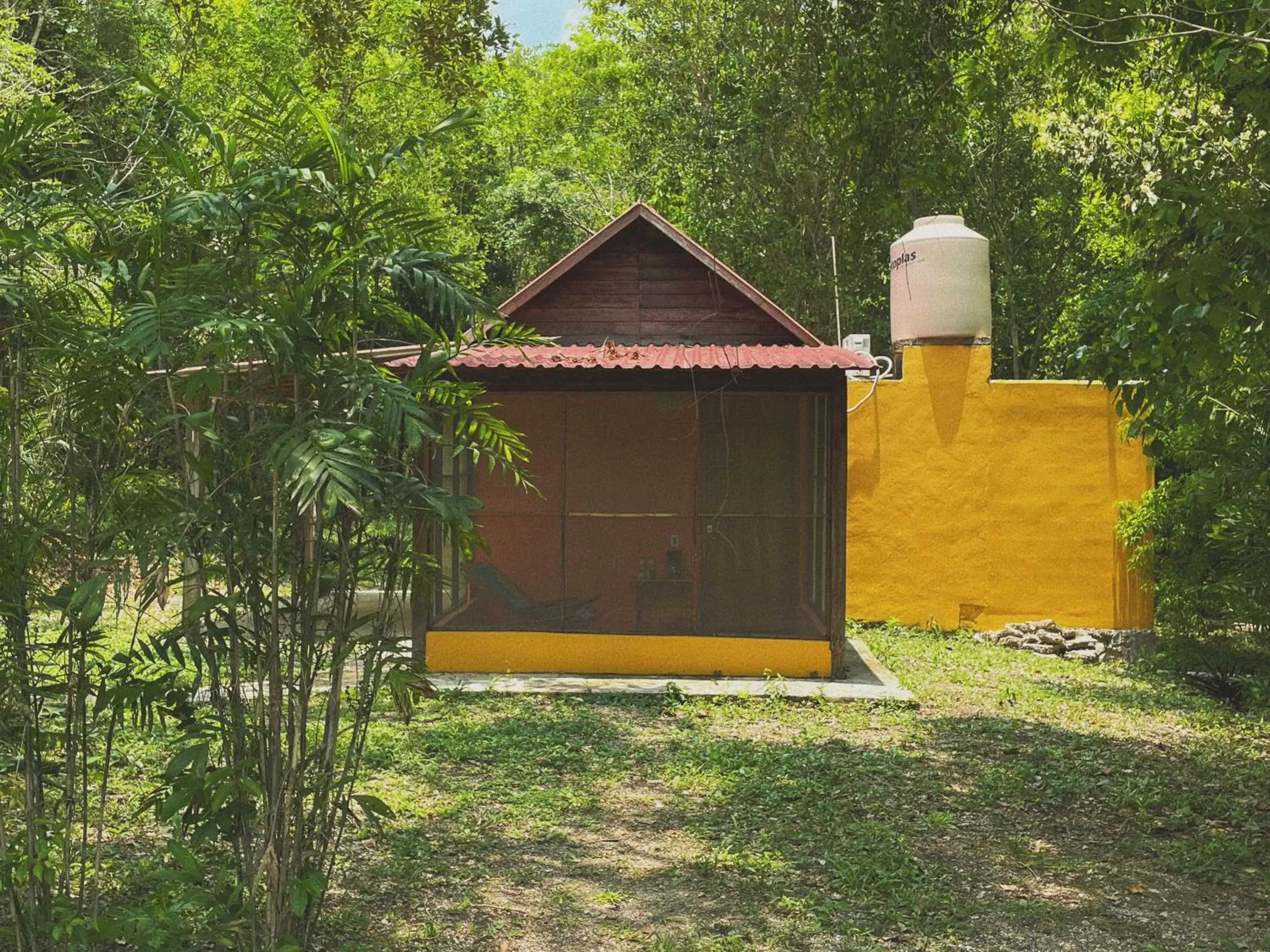 Double or Twin Room - single occupancy in Ecohabitat Calakmul Double or Twin Room - single occupancy in Ecohabitat Calakmul