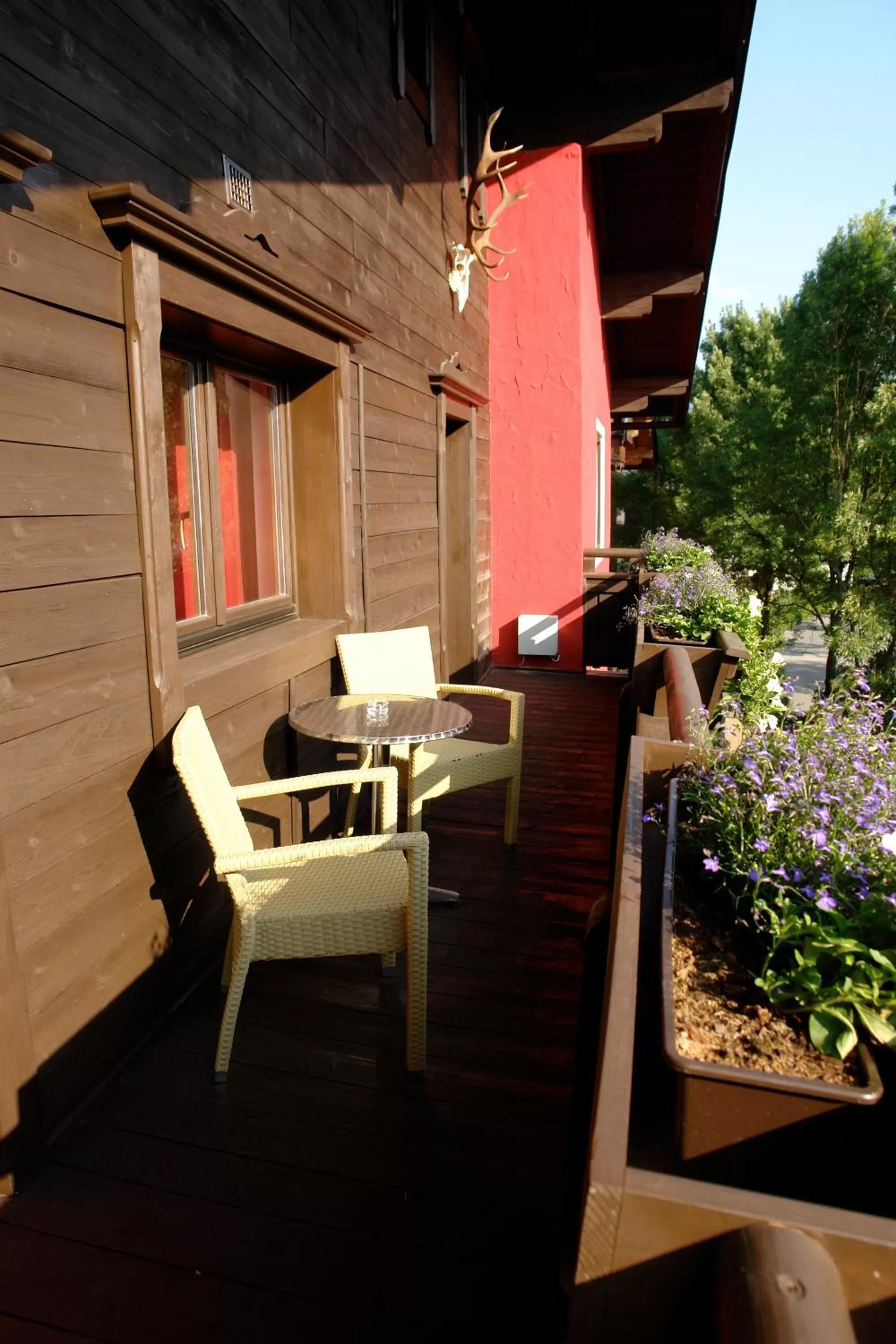 Balcony/Terrace in Hotel Gamshof