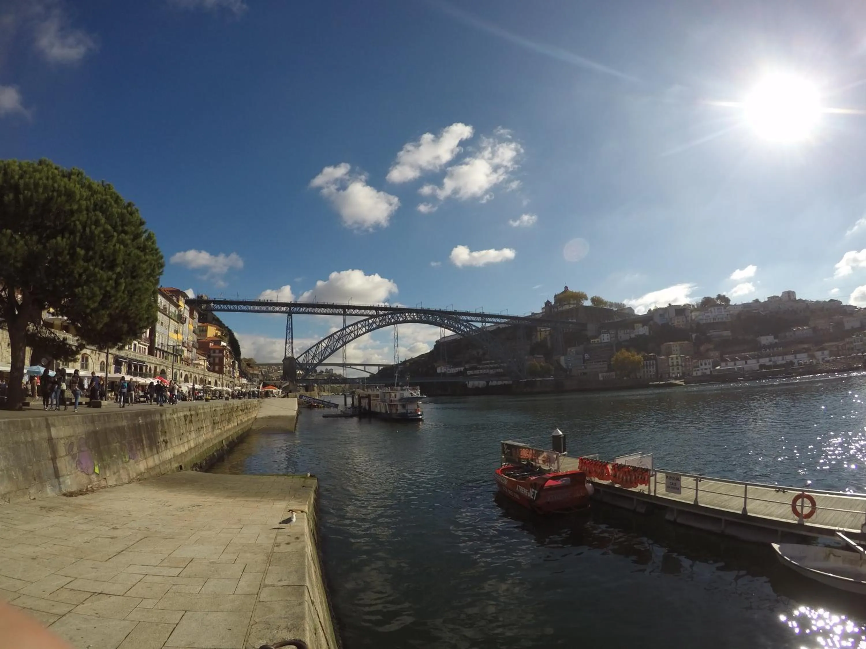 Natural landscape in The Rex Hotel Porto
