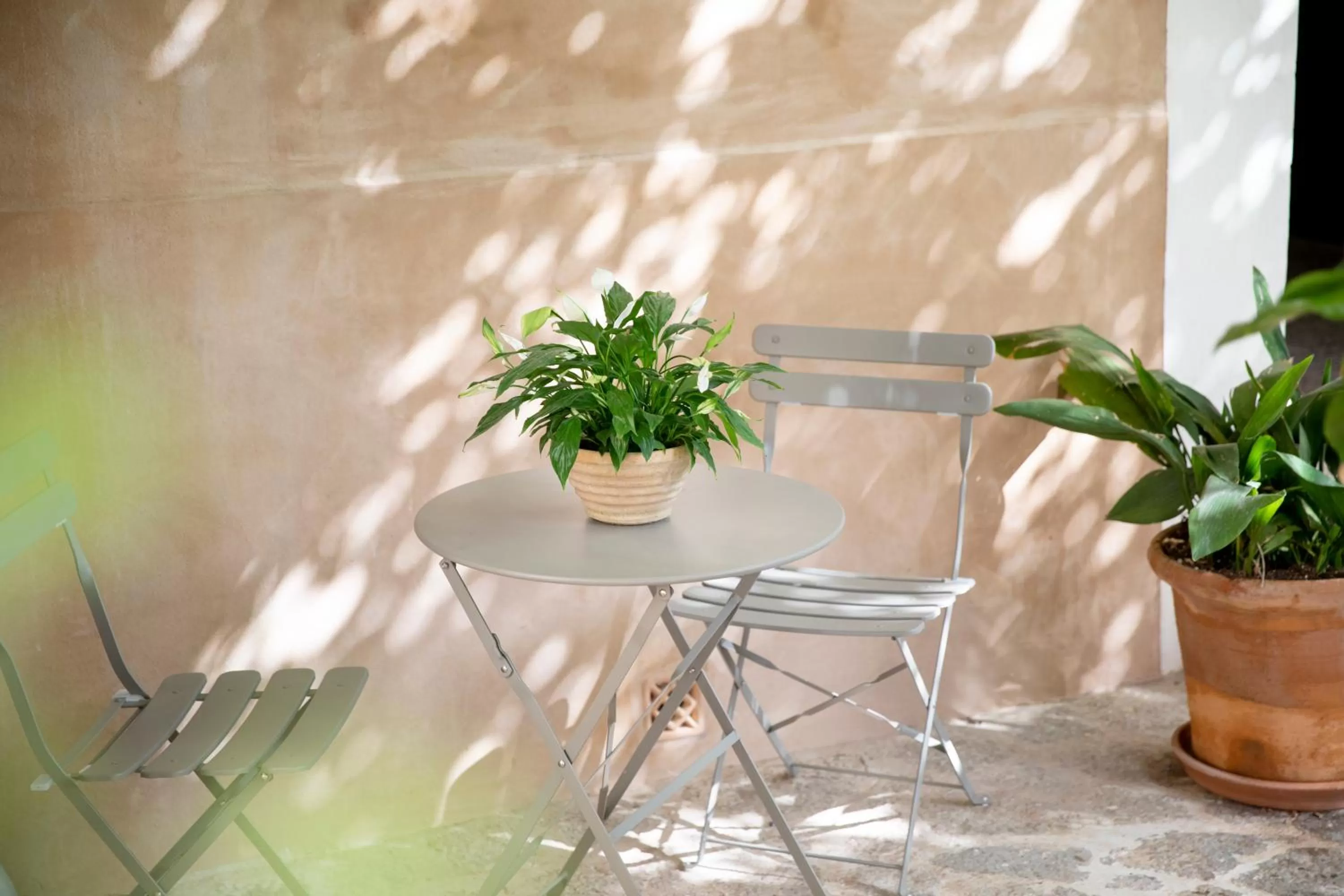 Patio in Ca'n Puig de Sòller