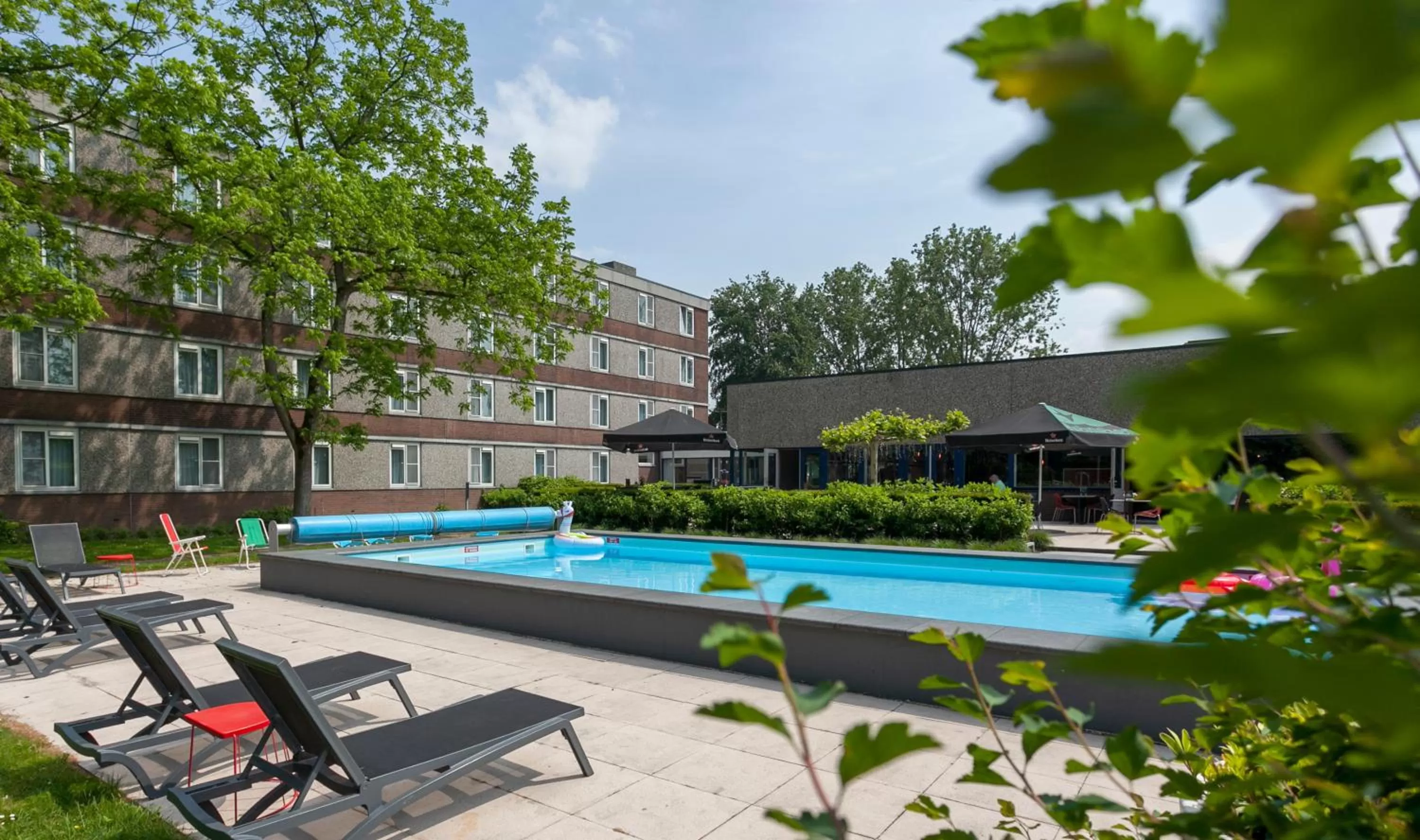 Swimming pool in Novotel Rotterdam - Schiedam