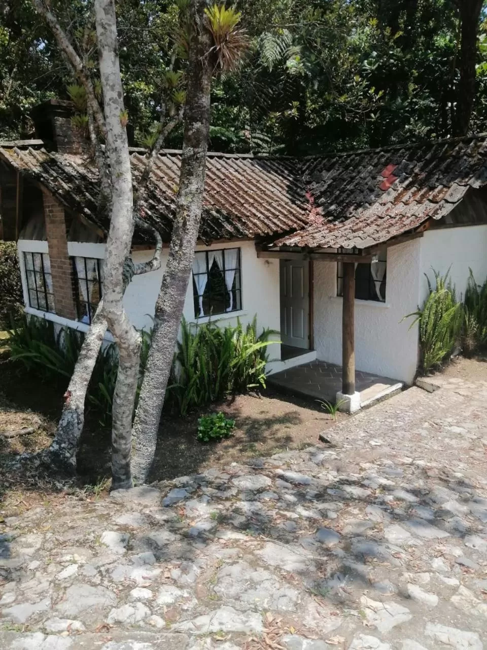 Property Building in Posada Montaña del Quetzal